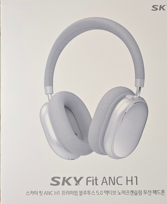 SKY 핏 ANC H1 (정품) : 다나와 가격비교