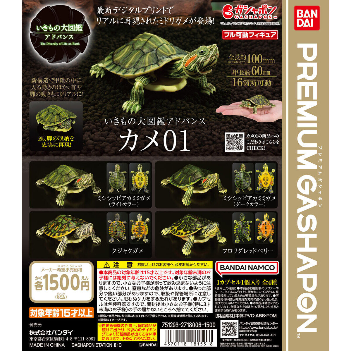 いきもの大図鑑アドバンス カメ01｜ガシャポンオフィシャルサイト