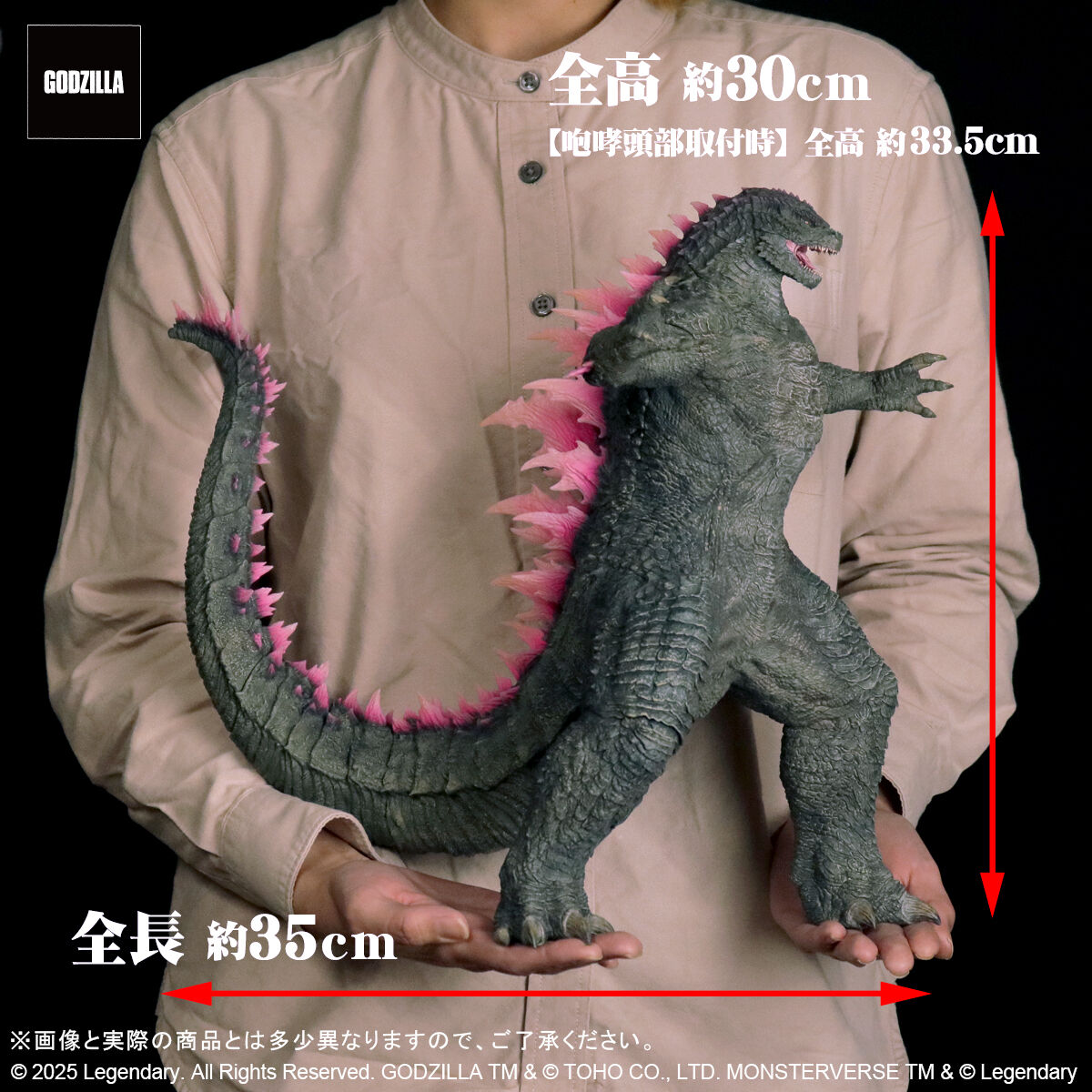 東宝大怪獣シリーズ GODZILLA(2024)EVOLVED Ver. | ゴジラシリーズ