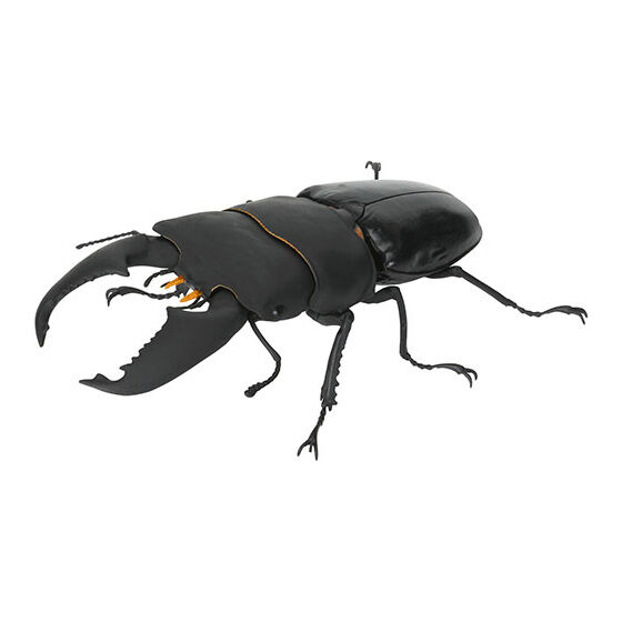 いきもの大図鑑 くわがた10｜ガシャポンオフィシャルサイト