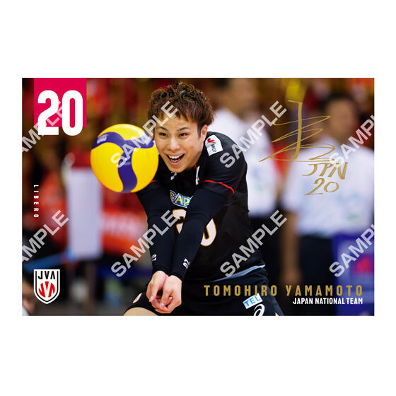 フラットガシャポン】バレーボール男子日本代表 ポストカード