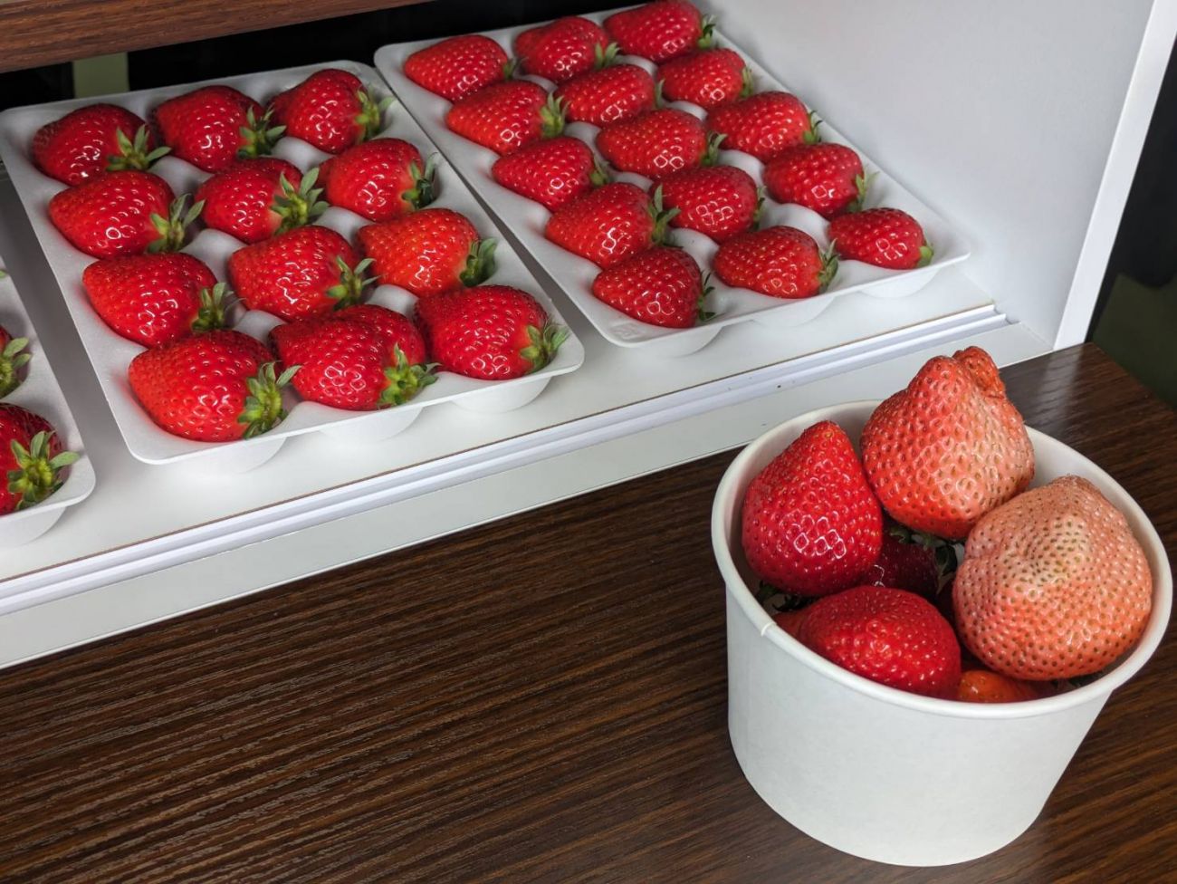 F×a LAB | ベビートラベル