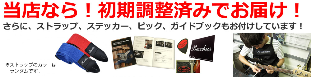 Global Series グローバルシリーズ エレキギター Bacchus バッカス