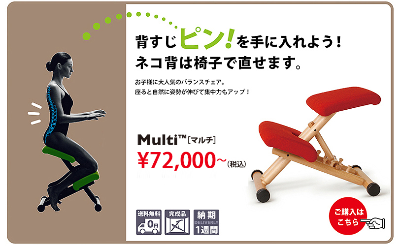 scullさま専用 バランスチェア2脚 scullさま専用 バランスチェア2脚