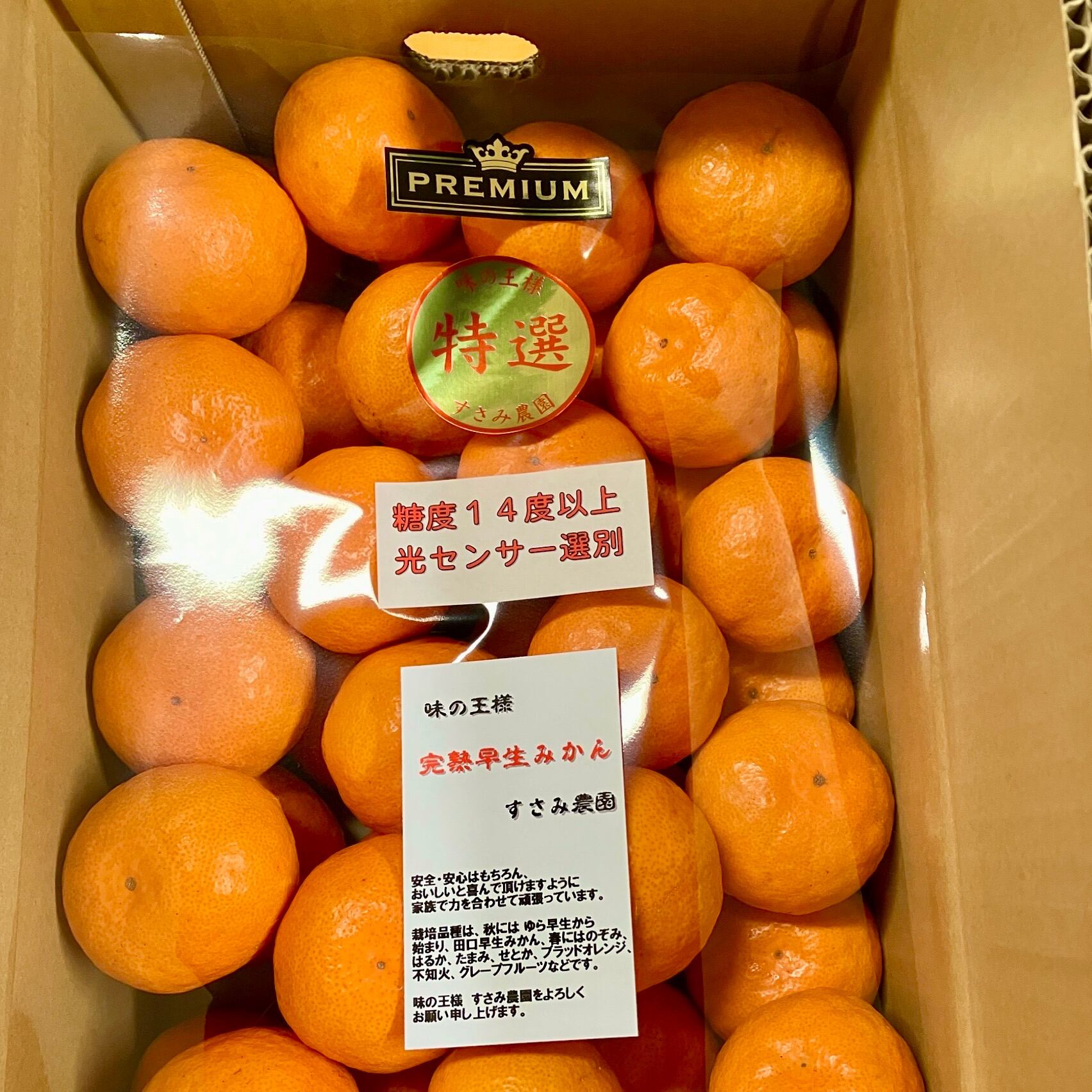 のぞみ(津之望) | すさみ農園