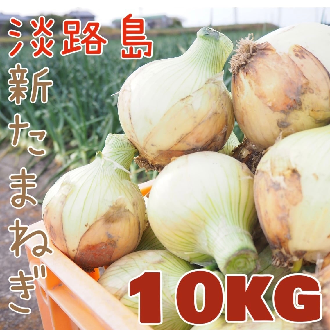 45500c2c6d95a393038a624b8af537