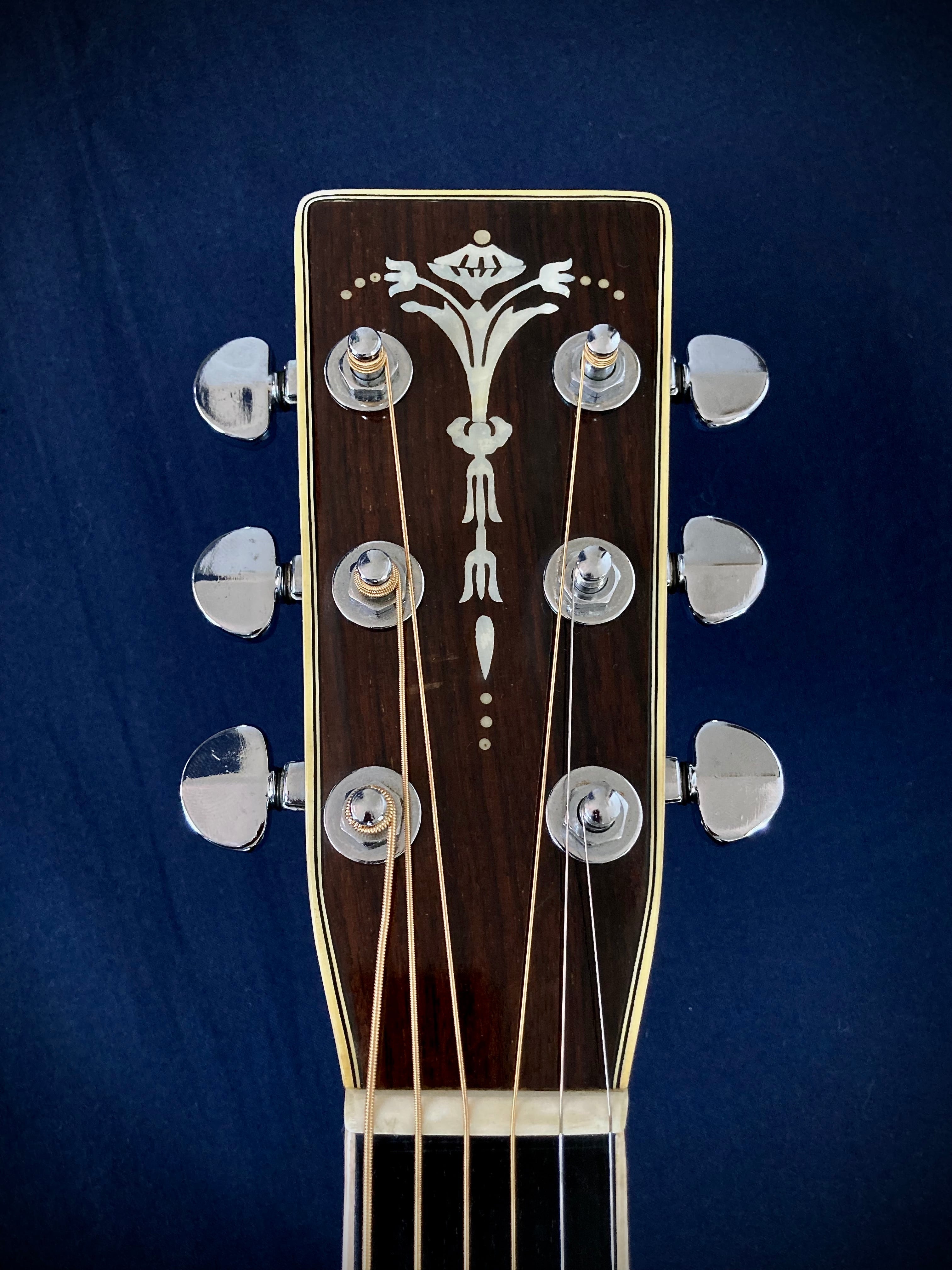 Rider R-800 1975~1977 | 【ジャパンビンテージギター専門店】DKFactory