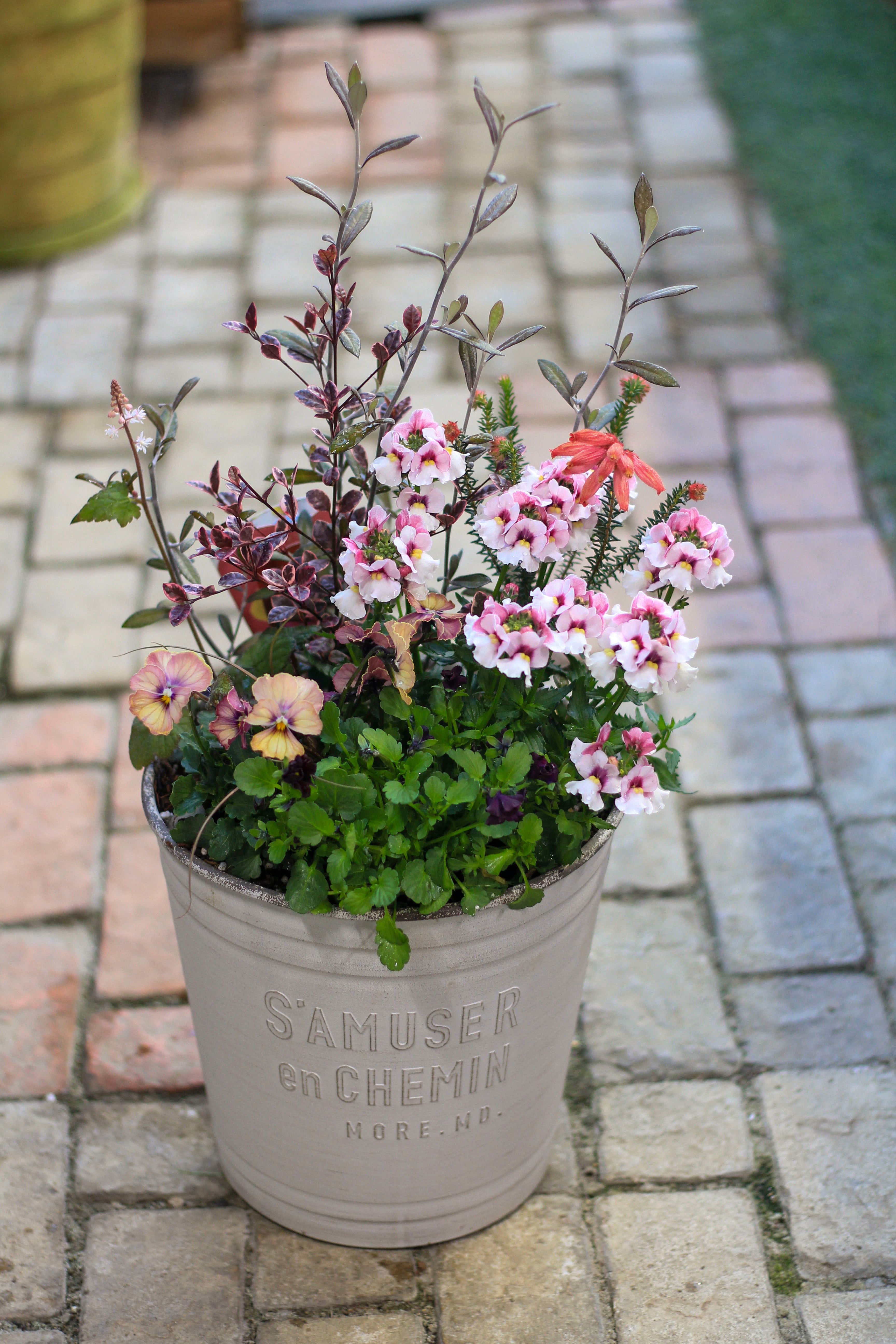 寄せ植え1-24 | オニ通