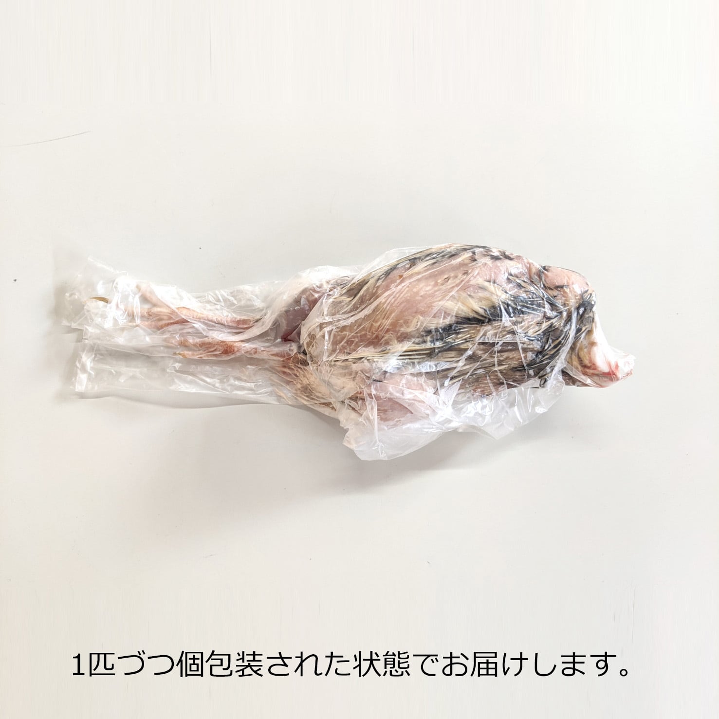 2ケース】豊橋産 冷凍ウズラ 未処理 25羽2ケース 親ウズラ 猛禽類