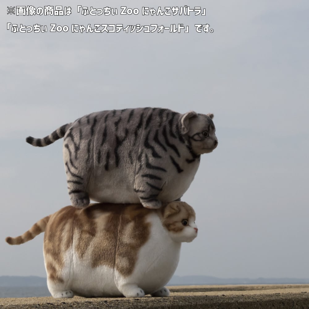ふとっちぃZooにゃんこ サバトラ | リードのおみせ Catail
