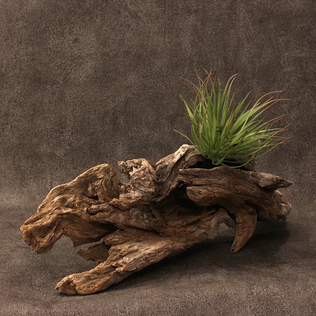 流木オブジェ RO-1012 | PEG PRODUCTS