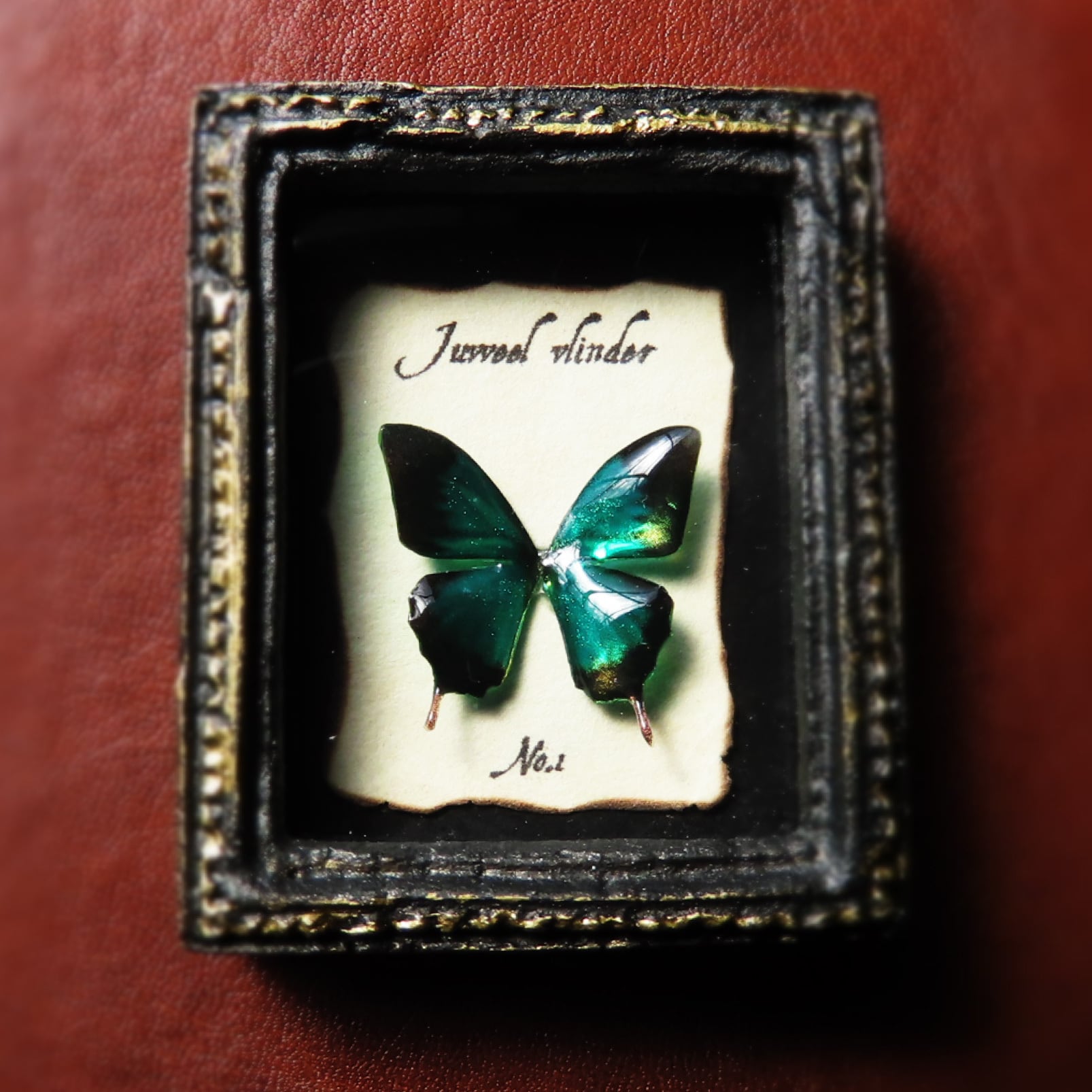 宝石蝶標本［No.1］ | ﾋﾞｬｸﾑ ｾｲｻｸｼｮ