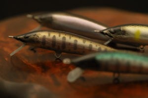 I's wood work's 水無月70F お客様感謝企画 | ネイティブトラウト