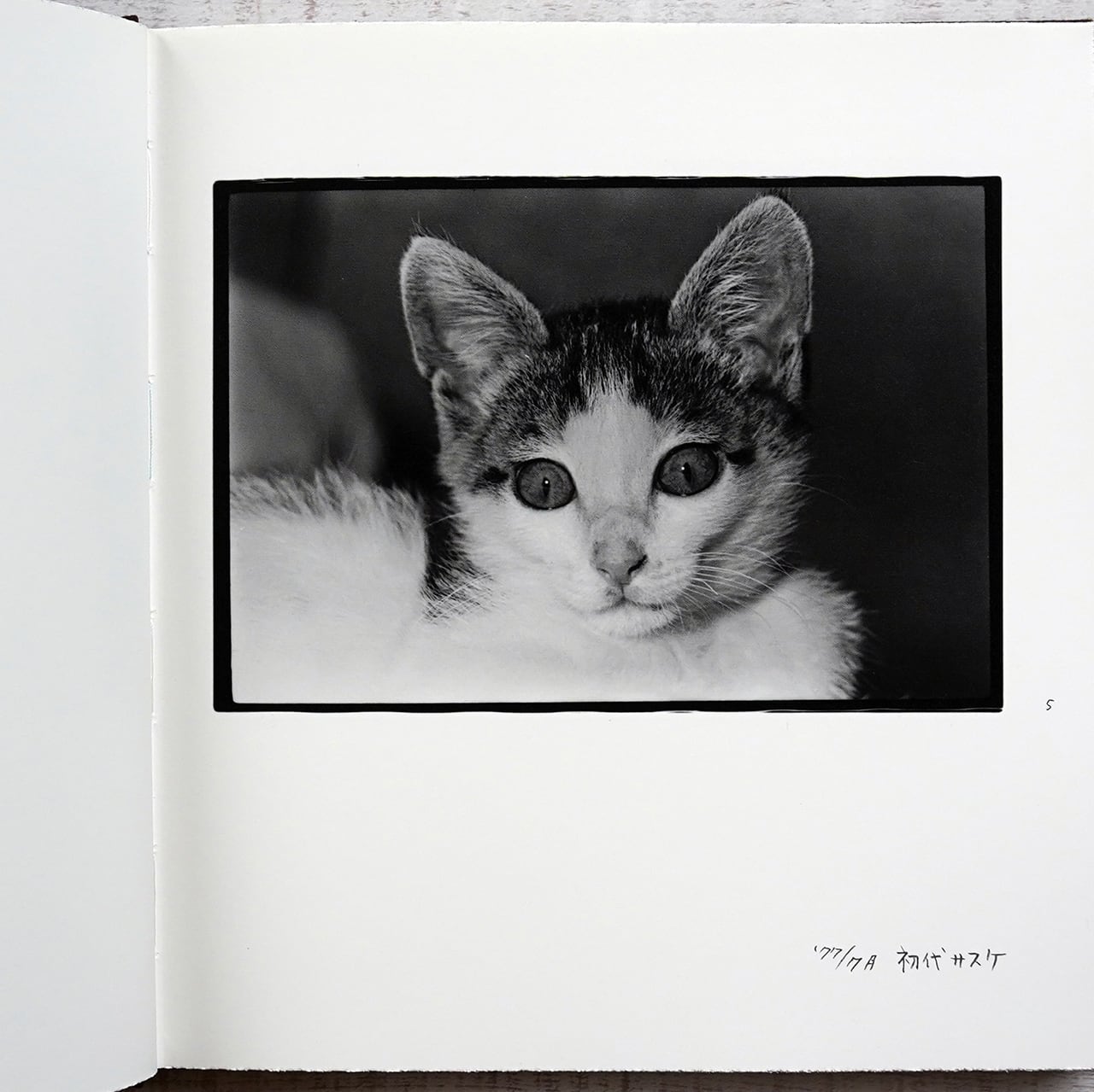 afterword 深瀬昌久 | タイムカプセル