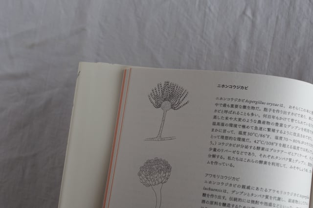 ノーマの発酵ガイド ／レネ・レゼピ、デイヴィッド・ジルバー | casimasi