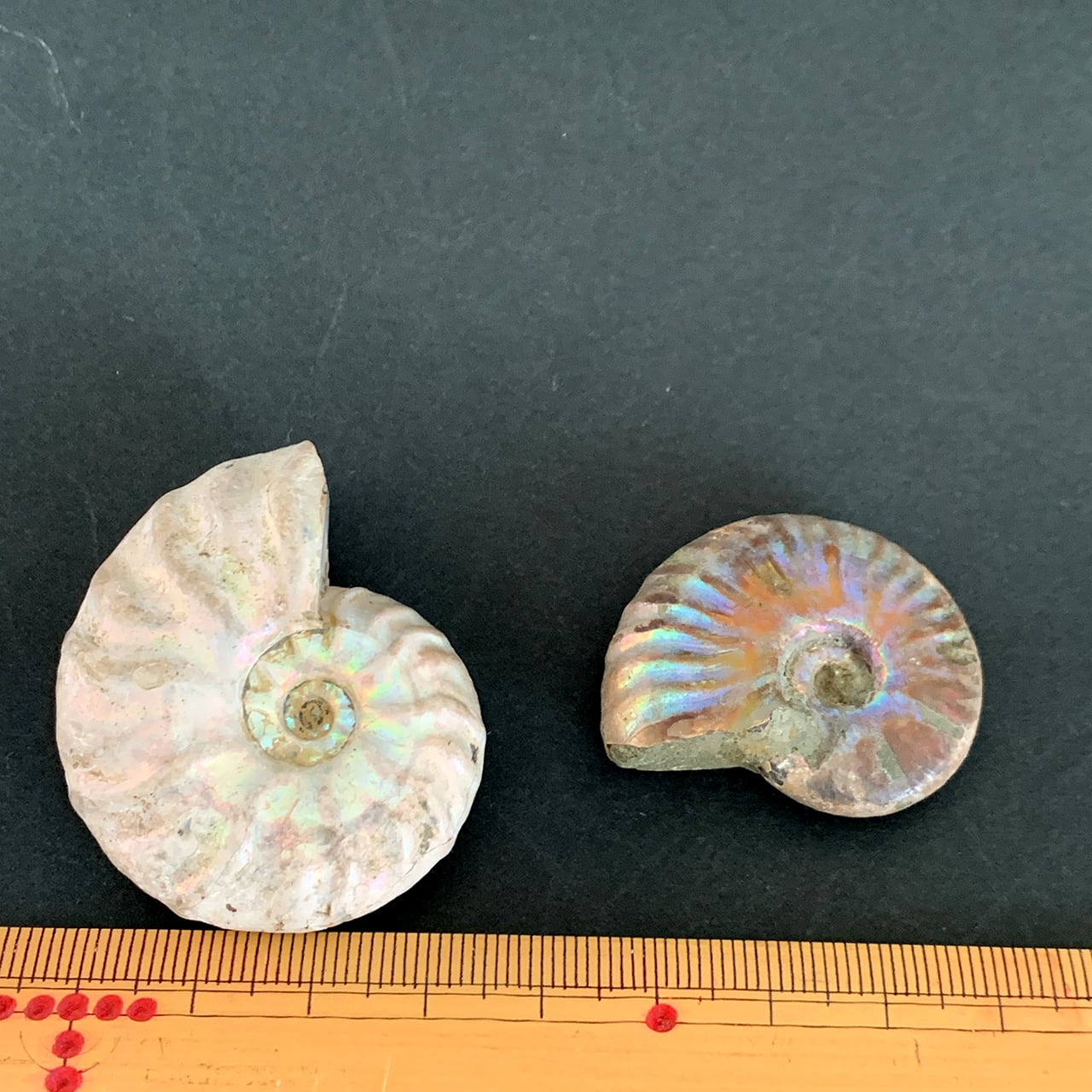 686d74378610dc294fe8576034d92e