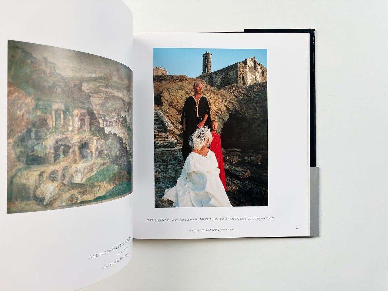 デビッド・ハミルトン David Hamilton | 陽の当たる場所 | 翠ブックス