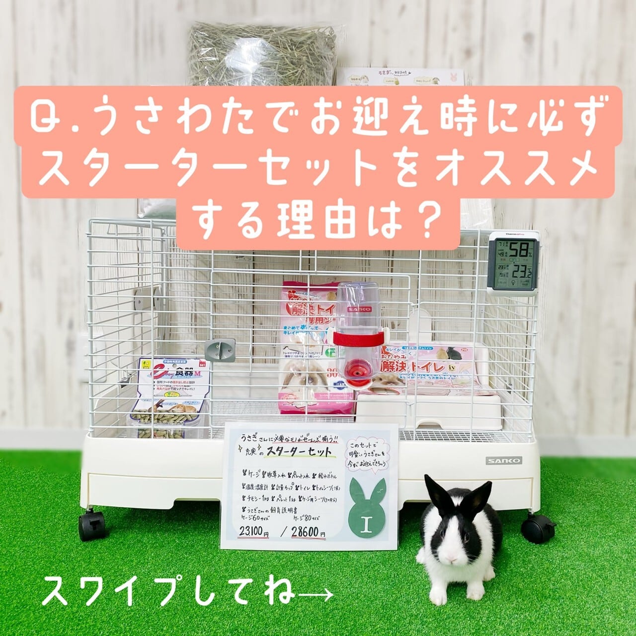 はじめてのうさぎさん広々飼育スタートセット【イージーホーム80