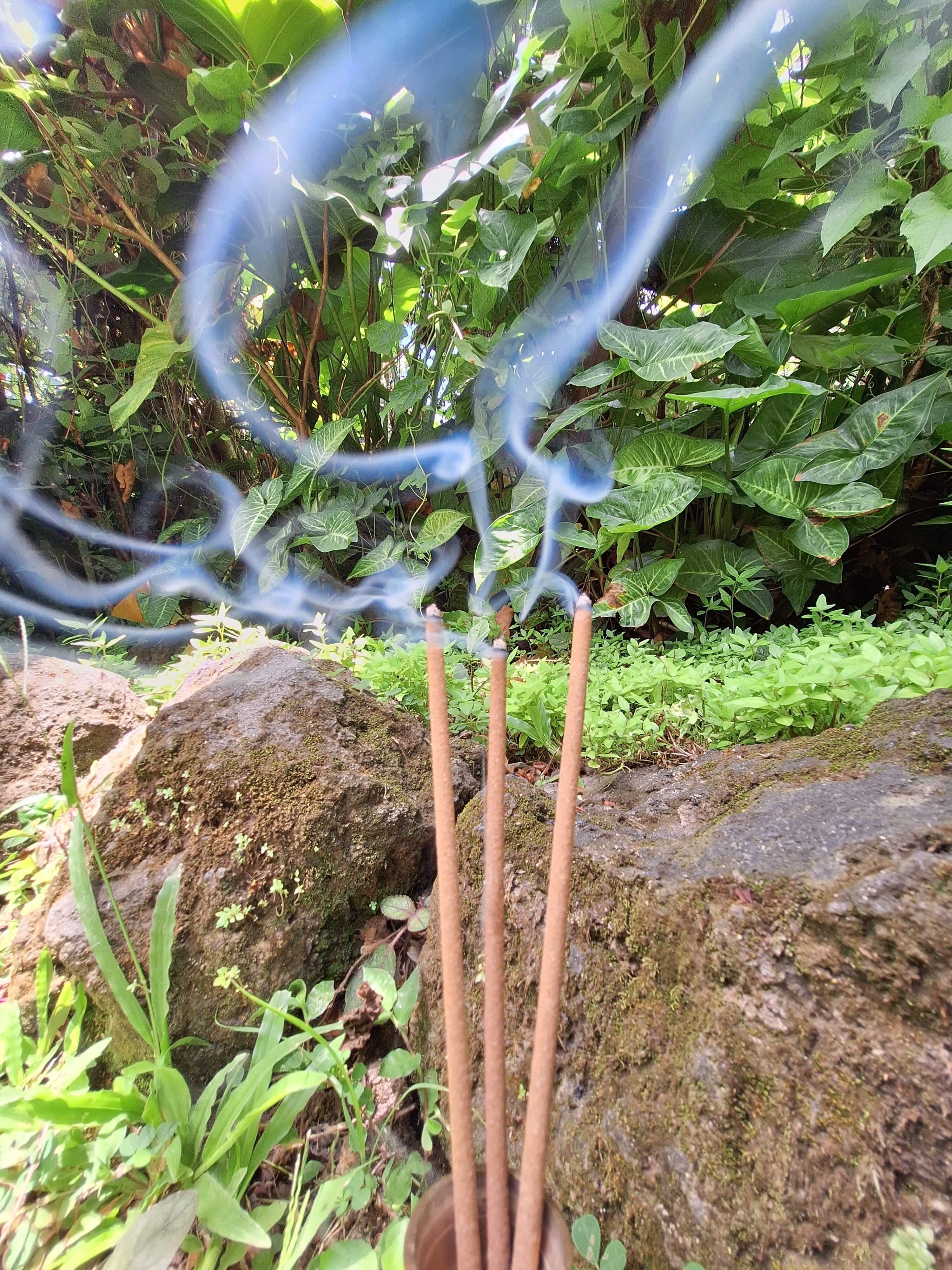 サンダルウッド/白檀】のお香 102本入 | 完全天然100% バリ島発 独自