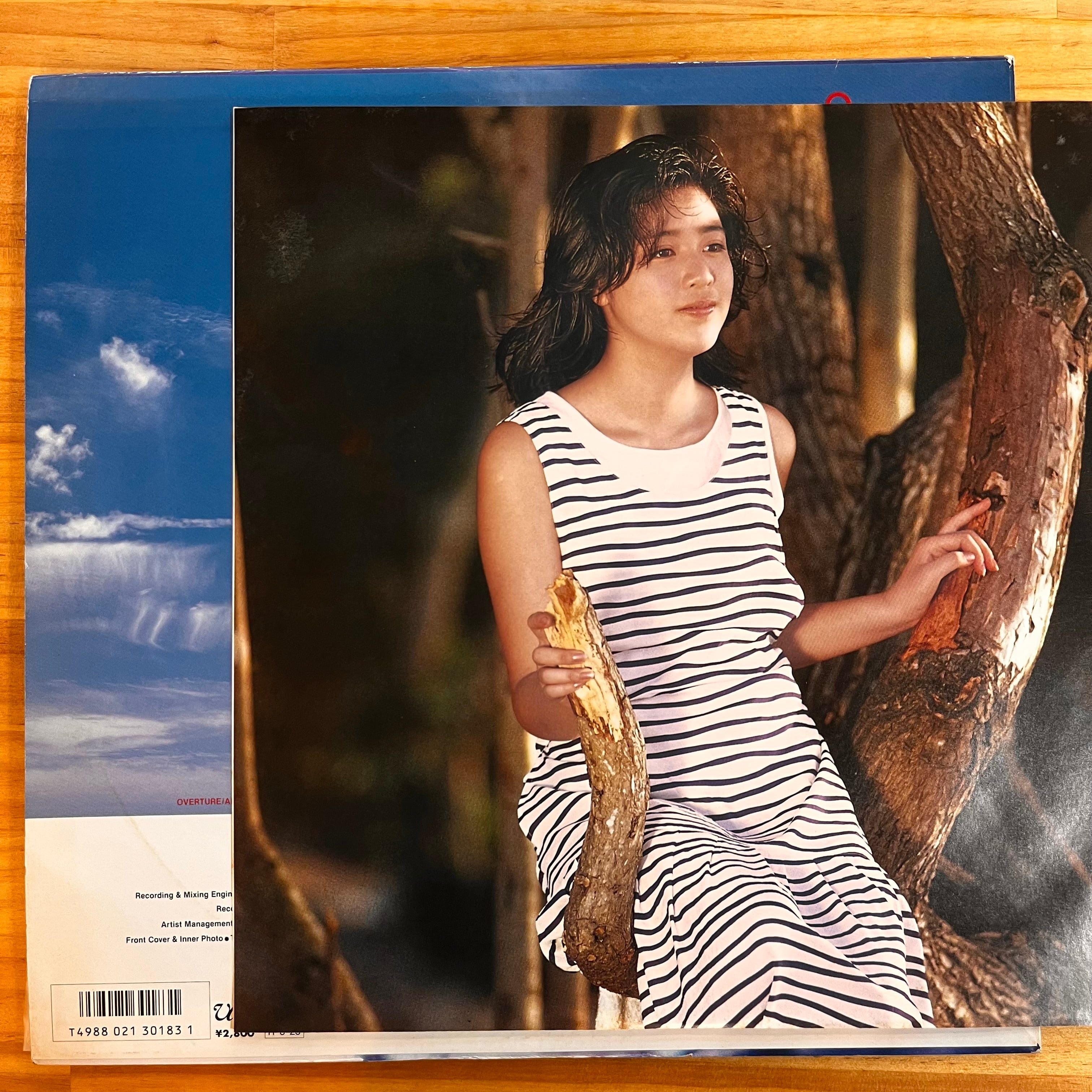 菊池桃子 MOMOKO KIKUCHI 