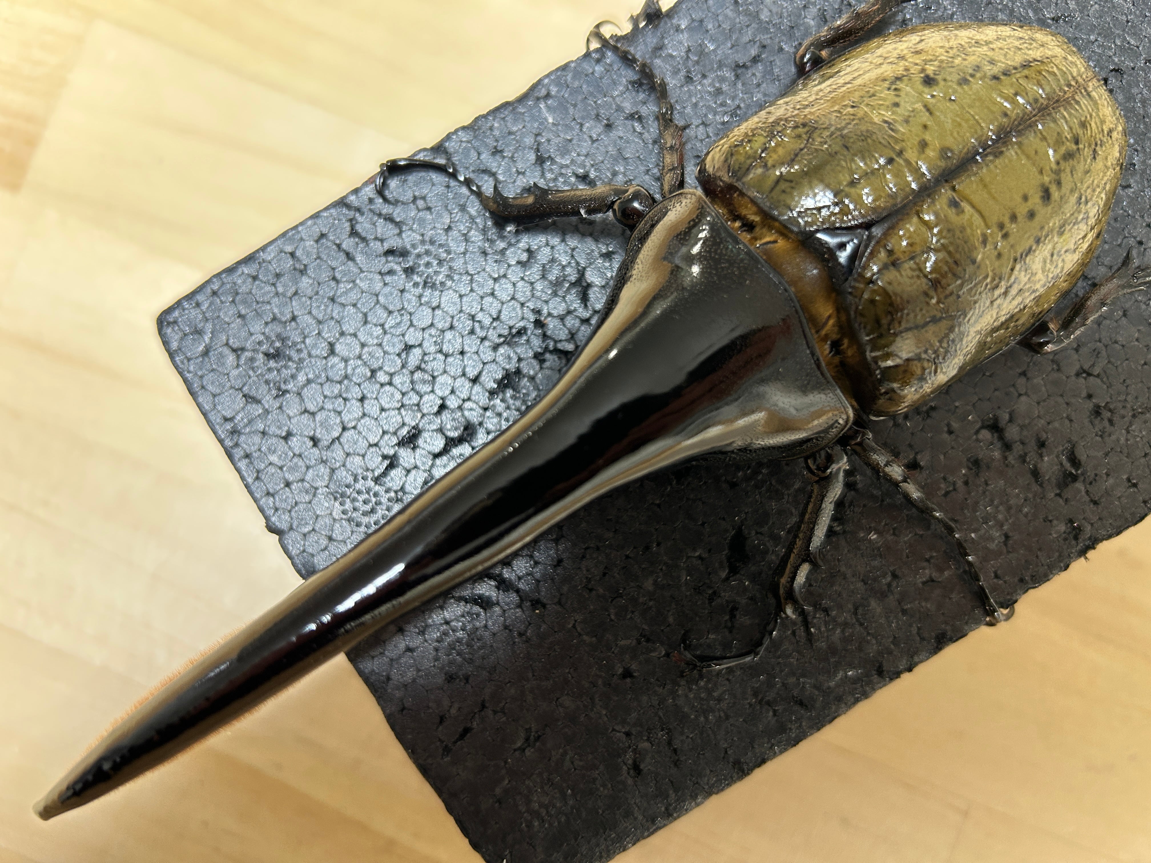 アートオブヘラクレス