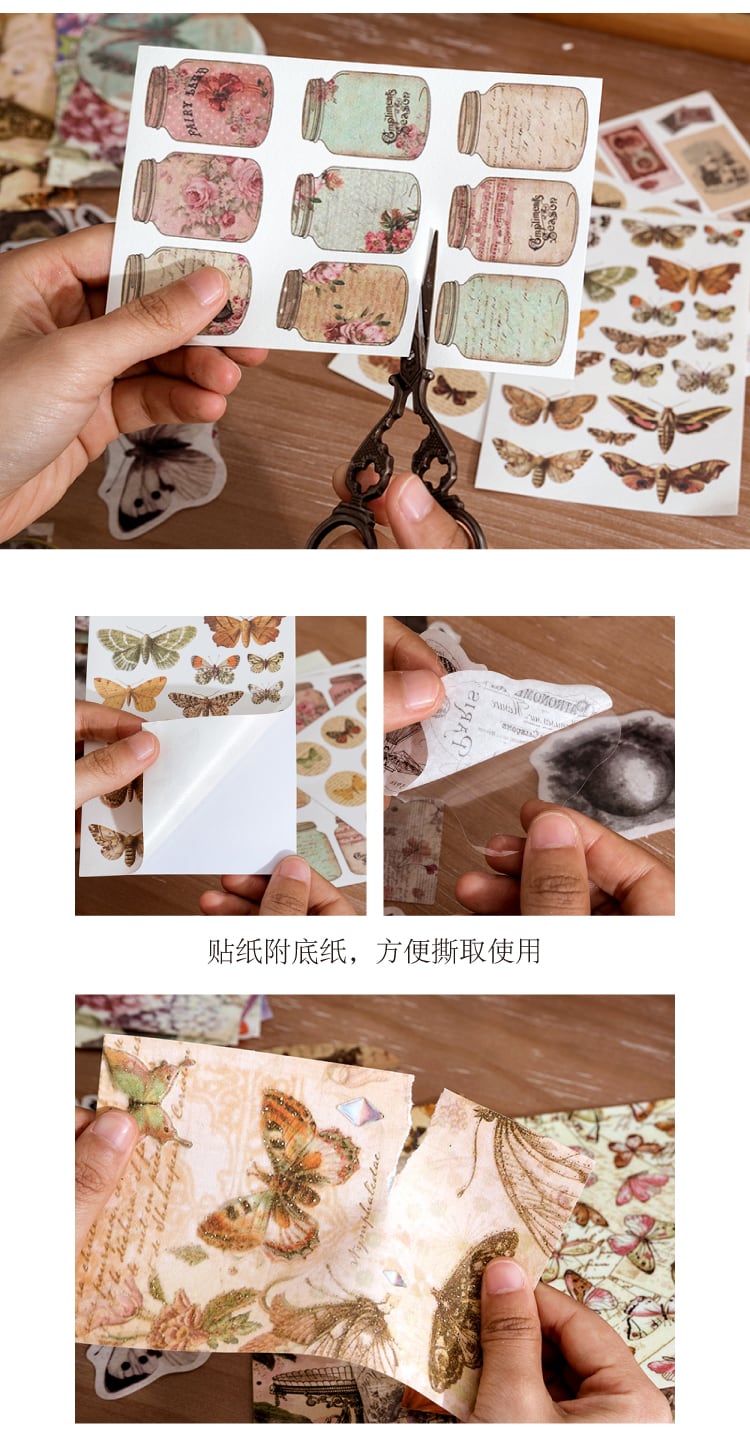 N18✦標本急蔵✦83枚入・6種コラジュー素材Samples Urgen to Hide