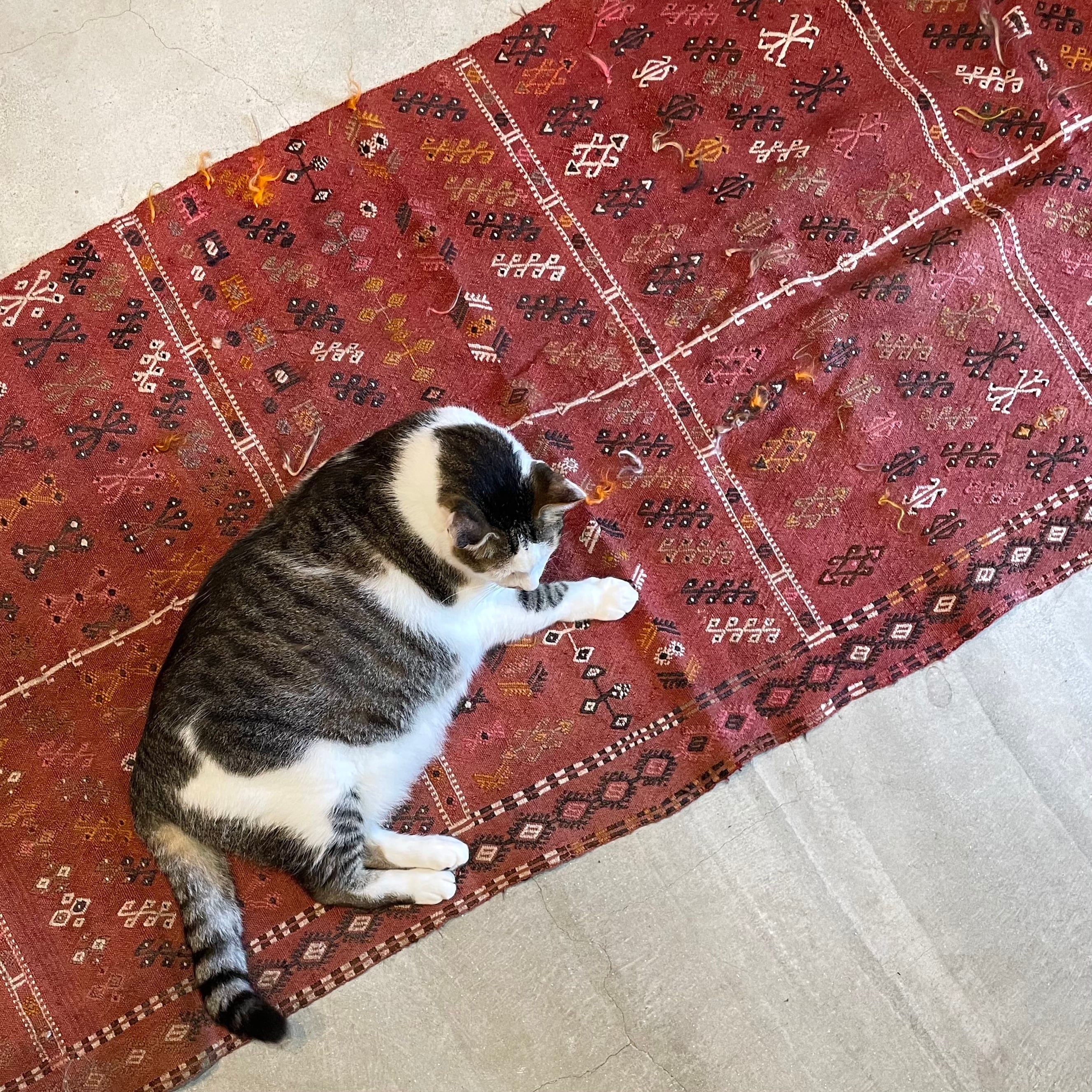 ランナーラグ | 猫ノ途中