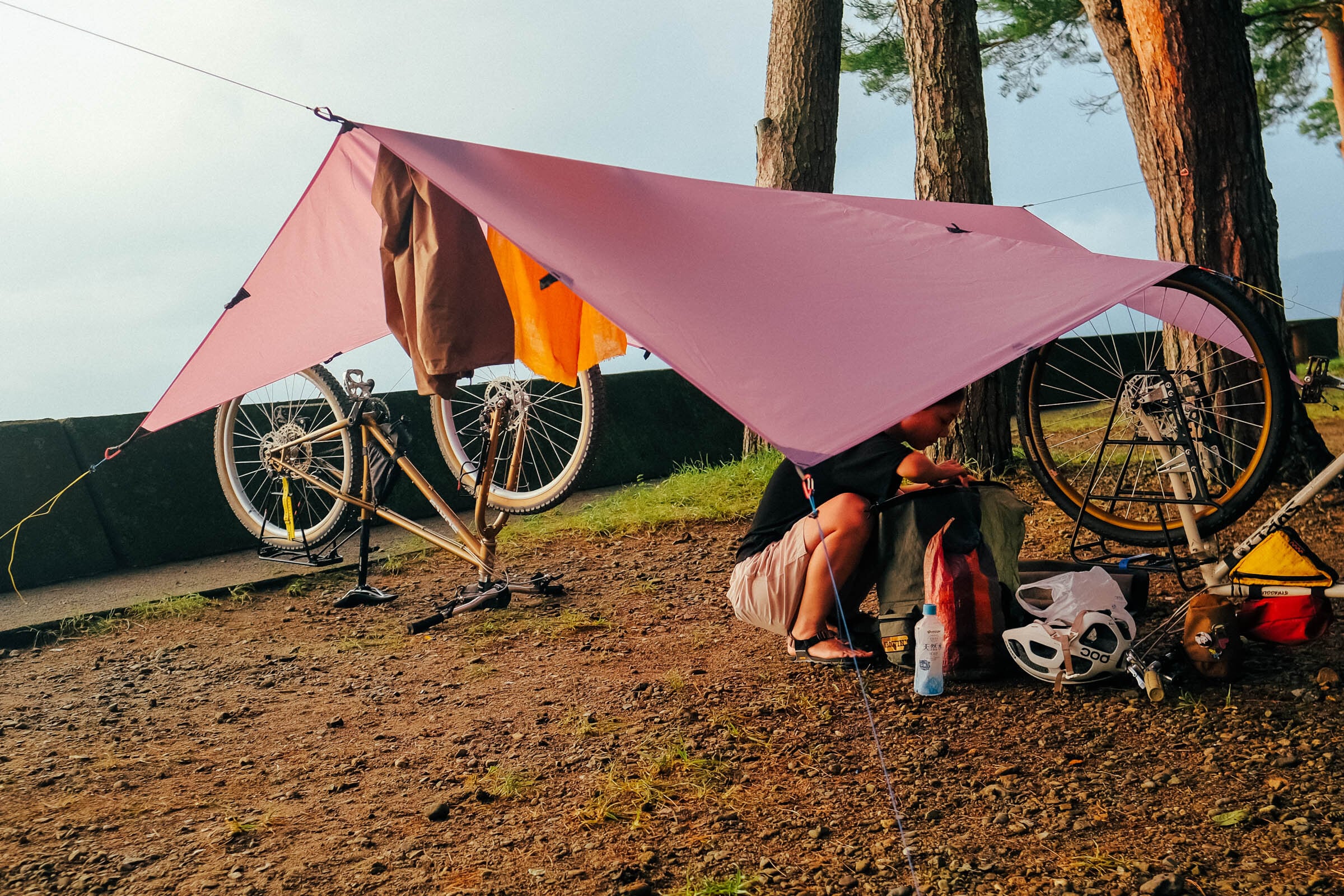 PB Tarp 8×10 Versatile Roof