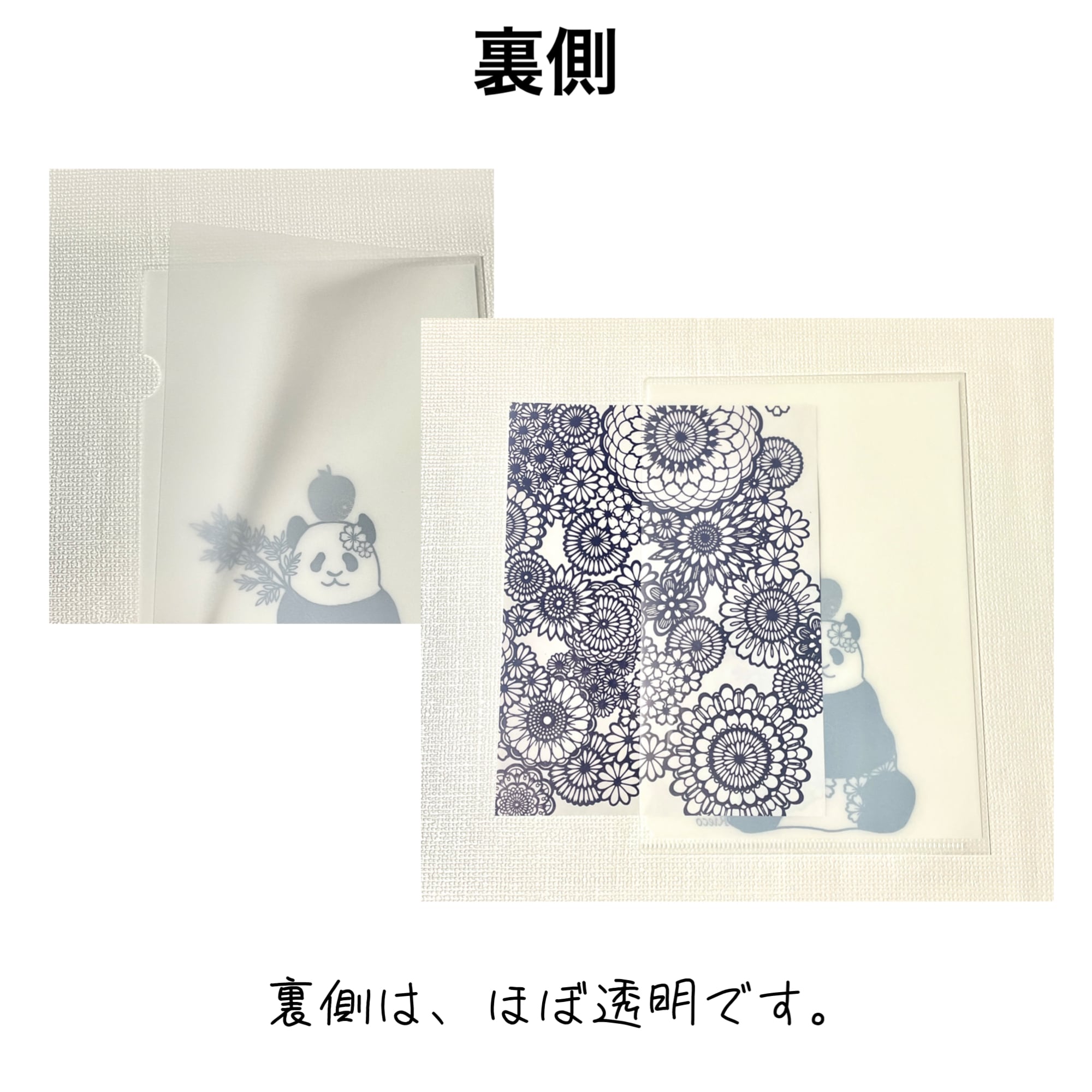 A5クリアファイル アオアシカツオドリの「勝 踊」さん | フリーハンド