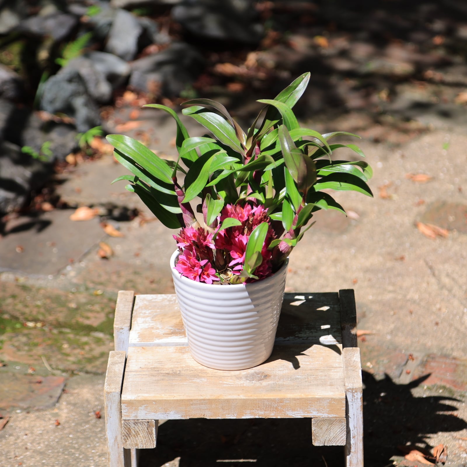 704161f2ff2f0ea198c2d3ccf51c27