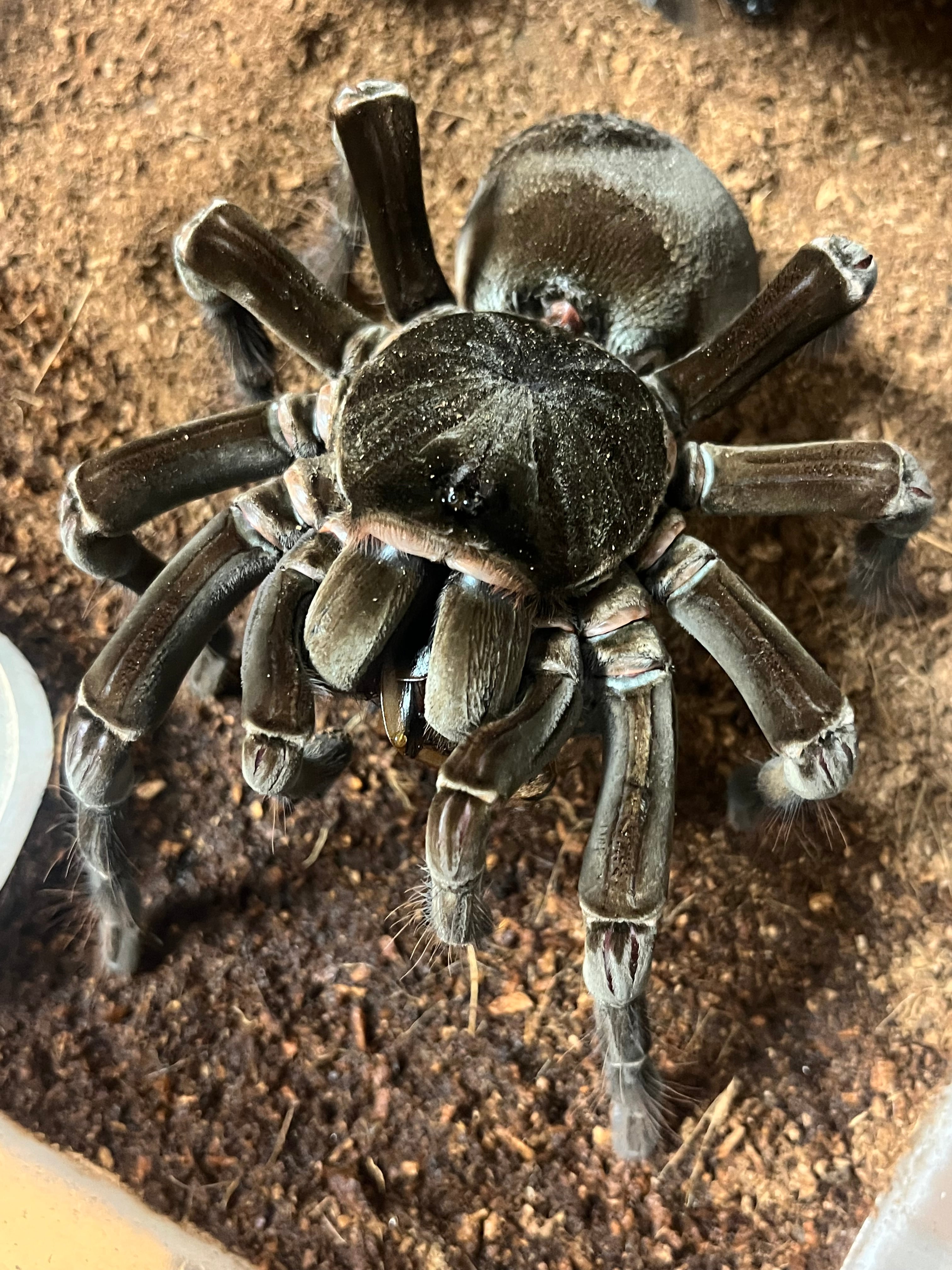 733dfb2074f083c6f683e7c6712a13