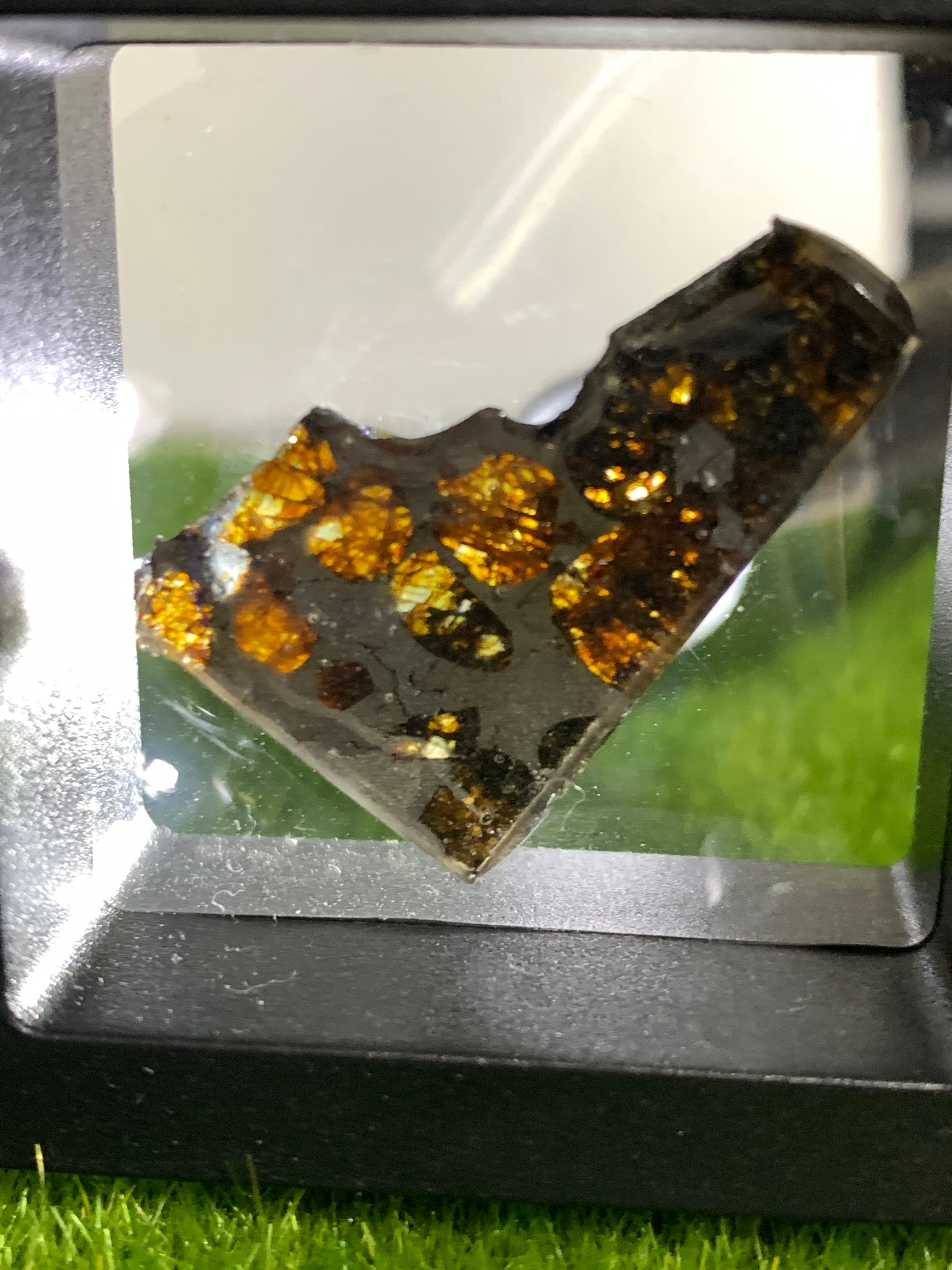 セリコ隕石】カッコいい形のセリコ隕石【パラサイト隕石