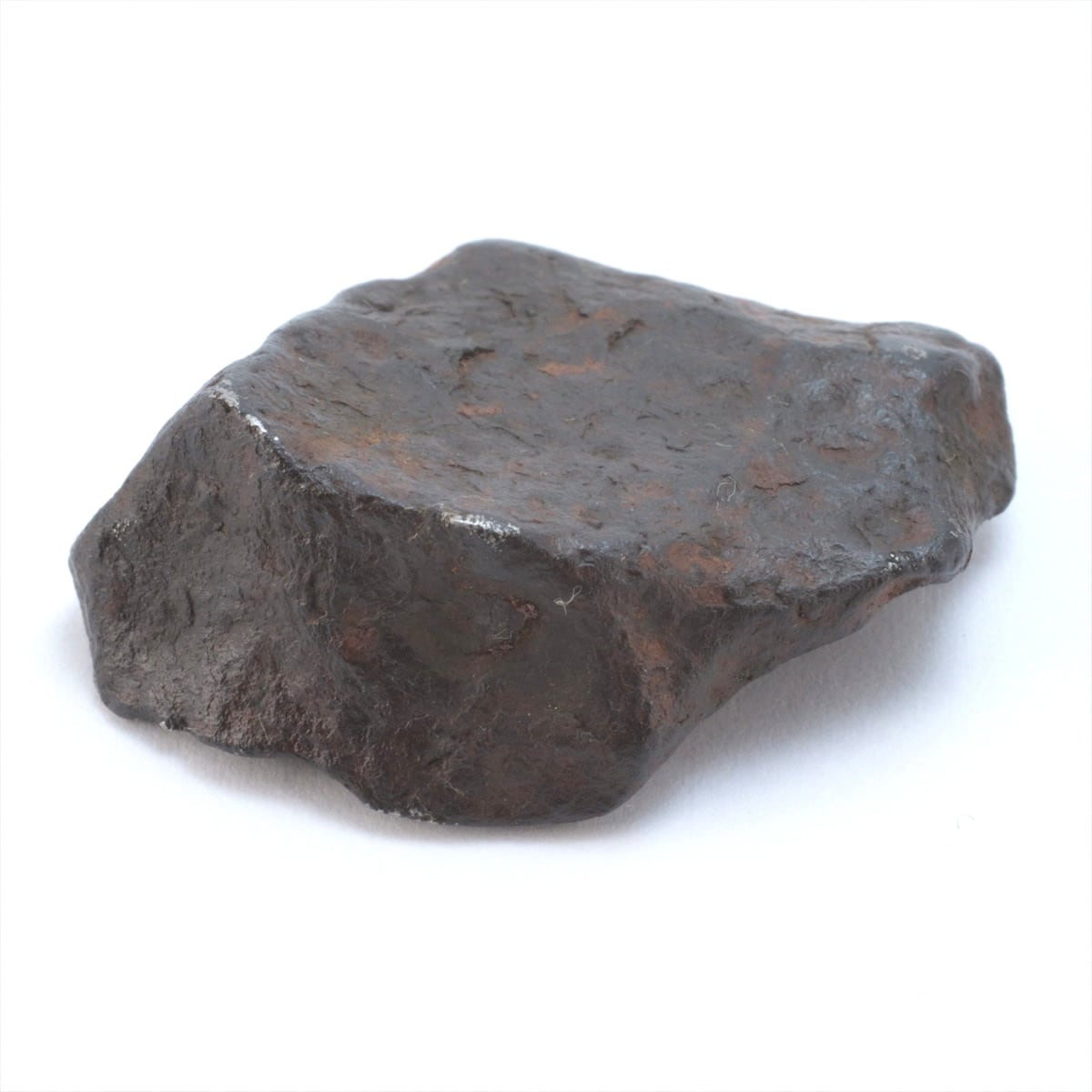 2025年入荷隕石 | 隕石販売.jp