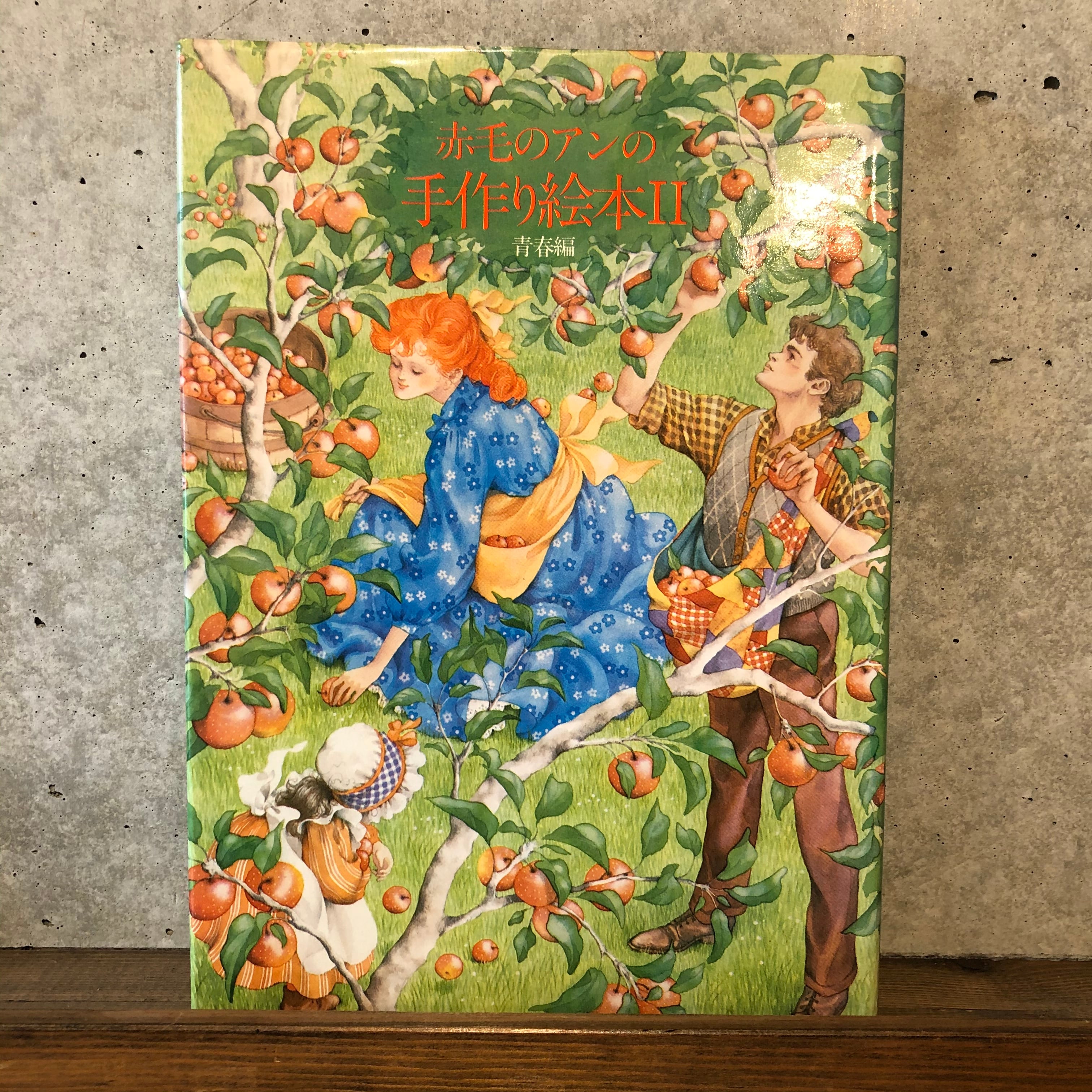 赤毛のアンの手作り絵本Ⅱ 青春編 | maintent