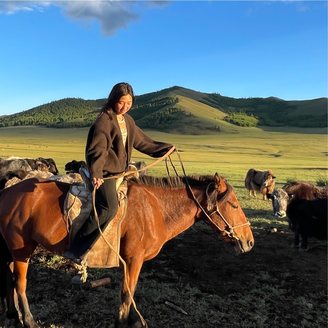 ヤクのバルーン袖カーディガン | 空飛ぶ羊 BASE webshop｜モンゴルの