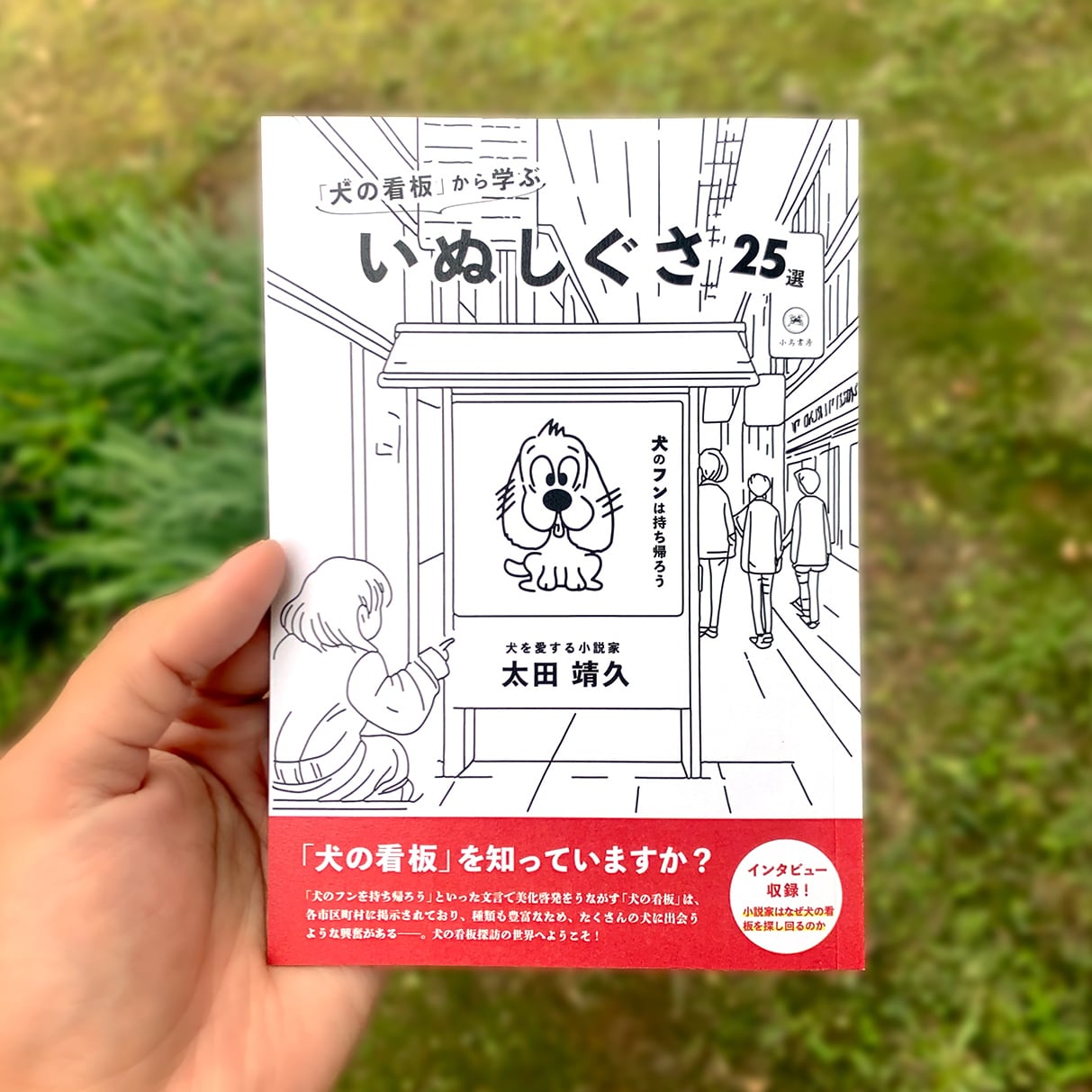 小鳥書房ZINE】「犬の看板」から学ぶ いぬしぐさ25選 | 小鳥書房