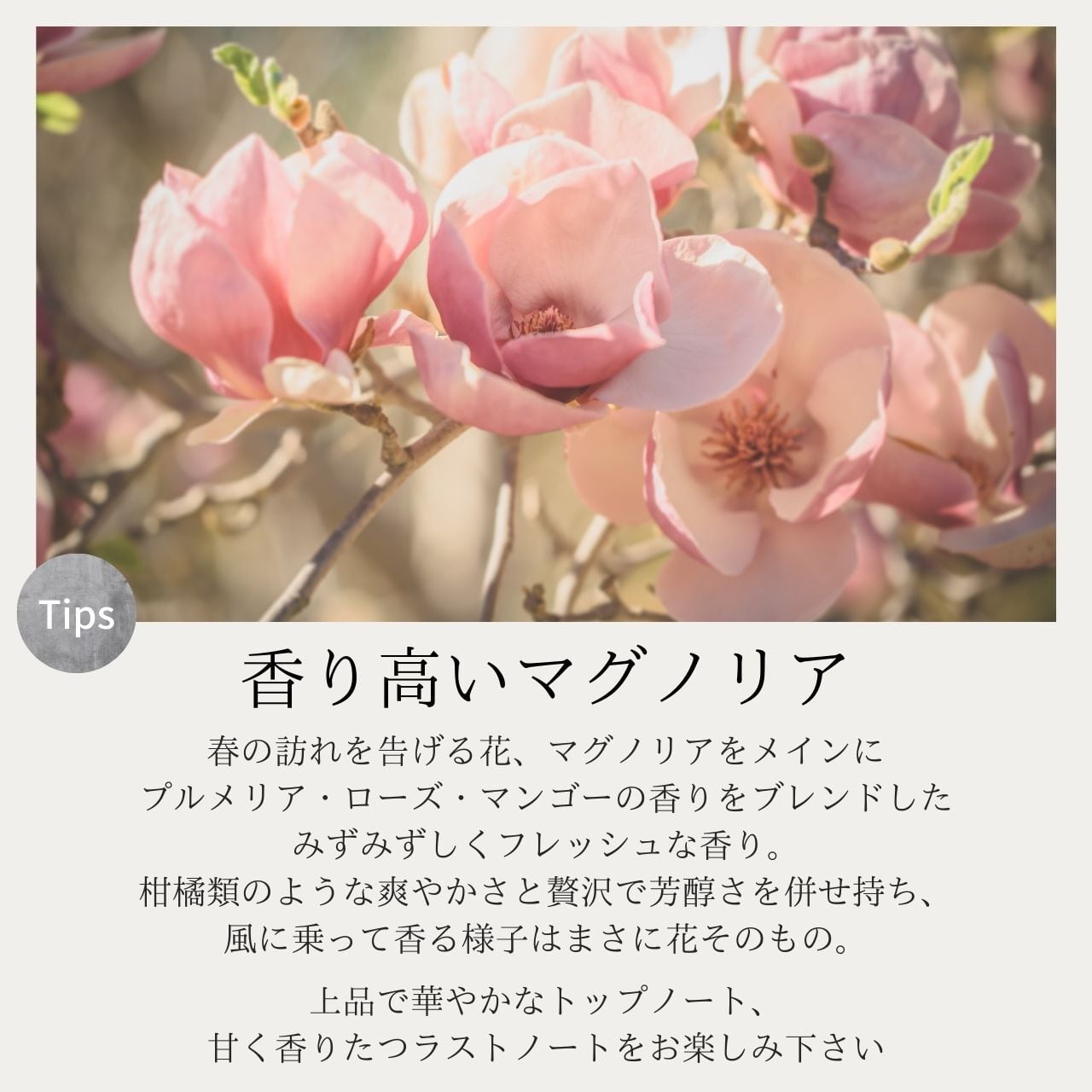 L/】トリートメント 480g 5,500円 →3,480円 | LOREN｜頭皮から髪を