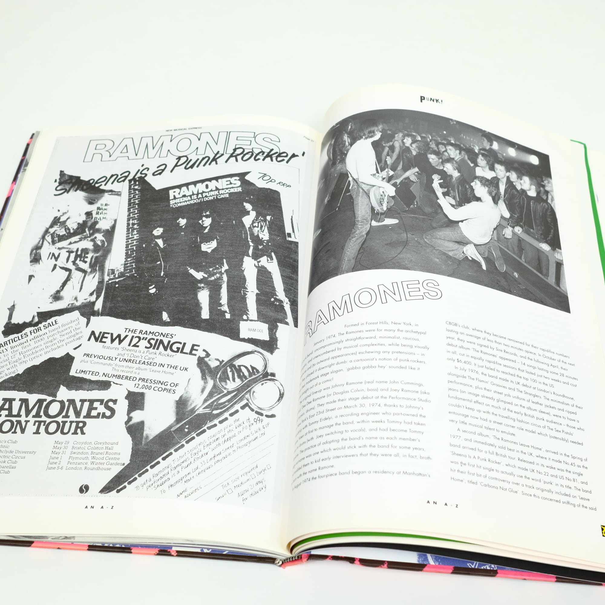 PUNK AN A-Z BARRY LAZELL パンク！ 洋書 写真集 | artbookano