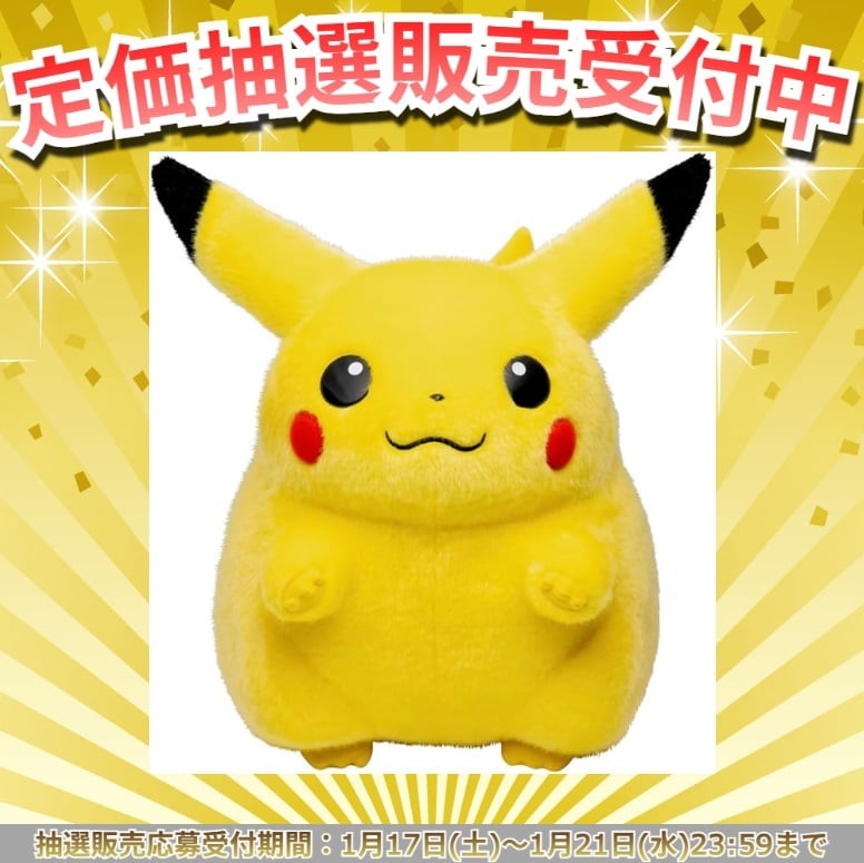 抽選販売】ポケモン30周年記念 おかえり!ピカチュウ1/1 | トレカ