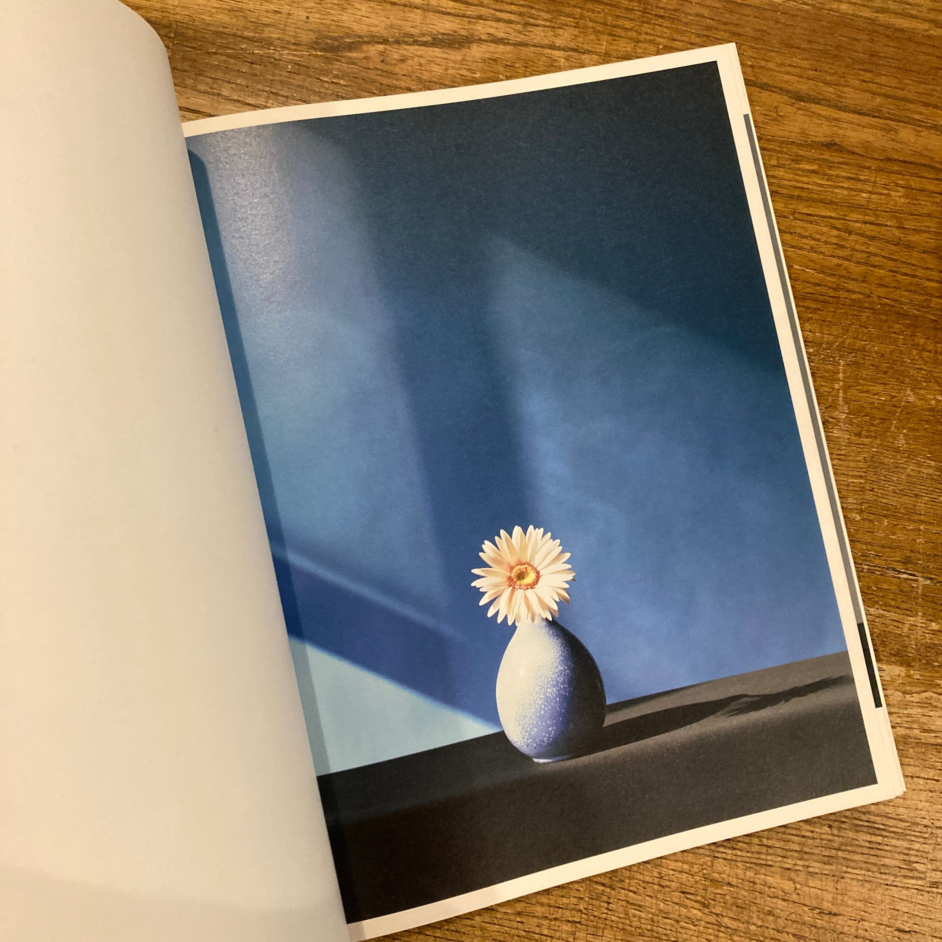 Flowers ロバート・メイプルソープの花 ソフトカバー版 / ロバート