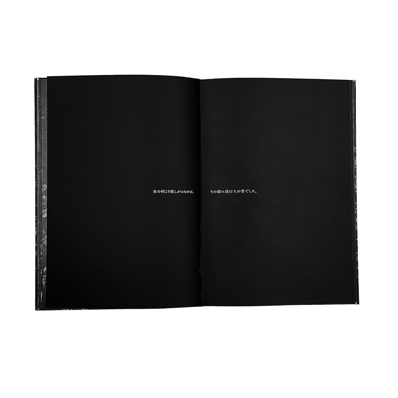 森山大道: Daido Moriyama: Ango 【日本語版】 | Pay ID