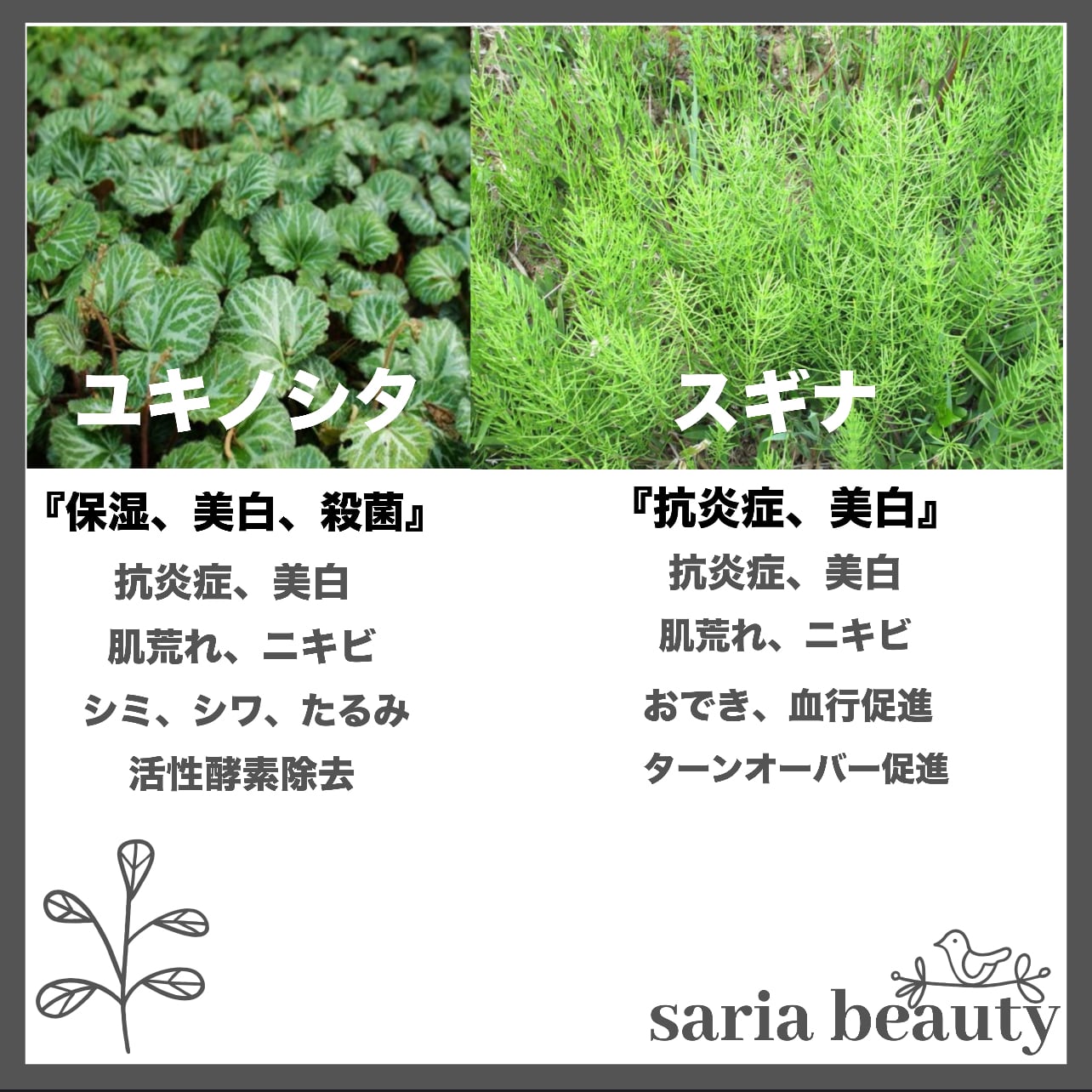 AQUA和漢ハーブピーリング | AQUA herb peeling