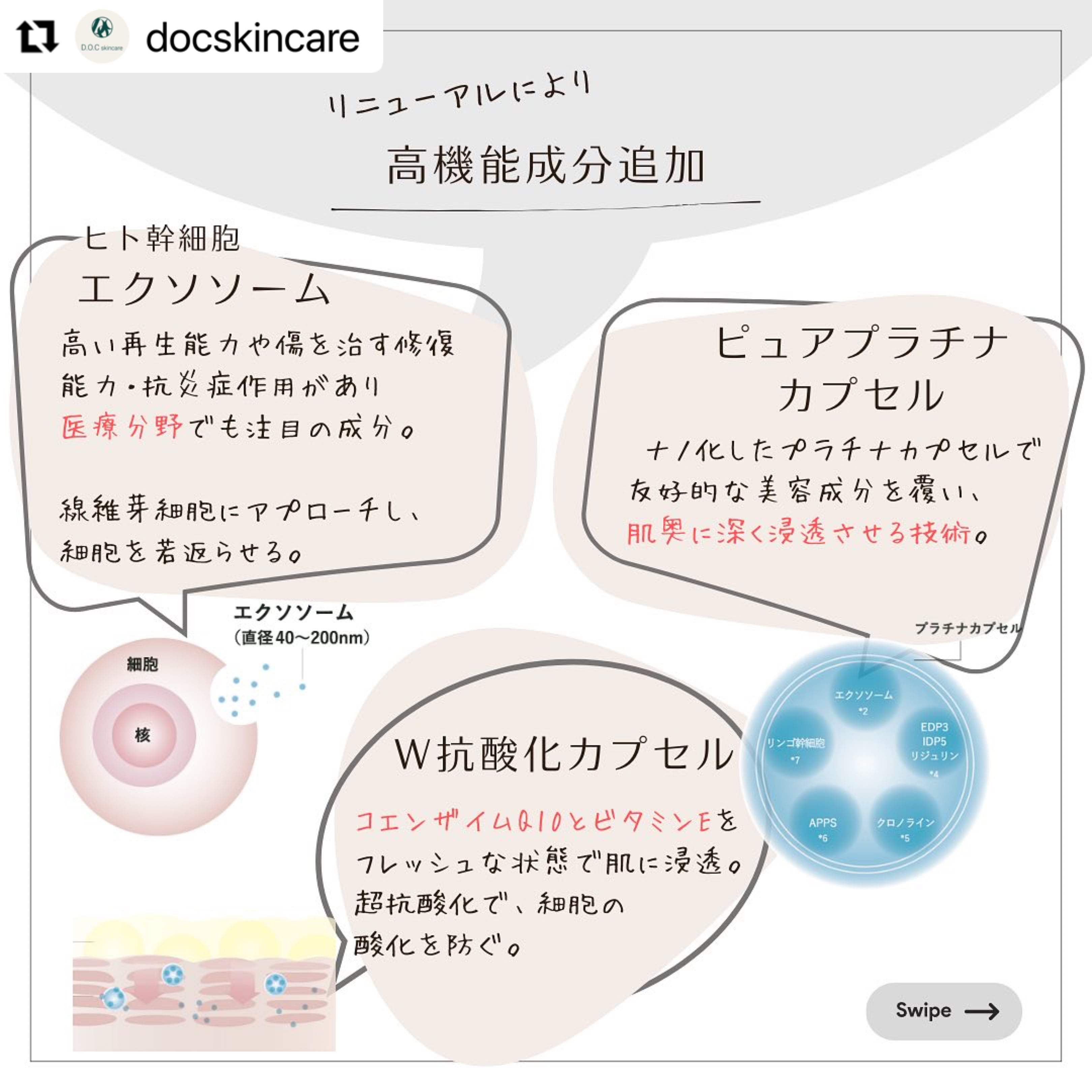 NO4 コンセントレイトセラム 50g（DOCスキンケア） | Bow
