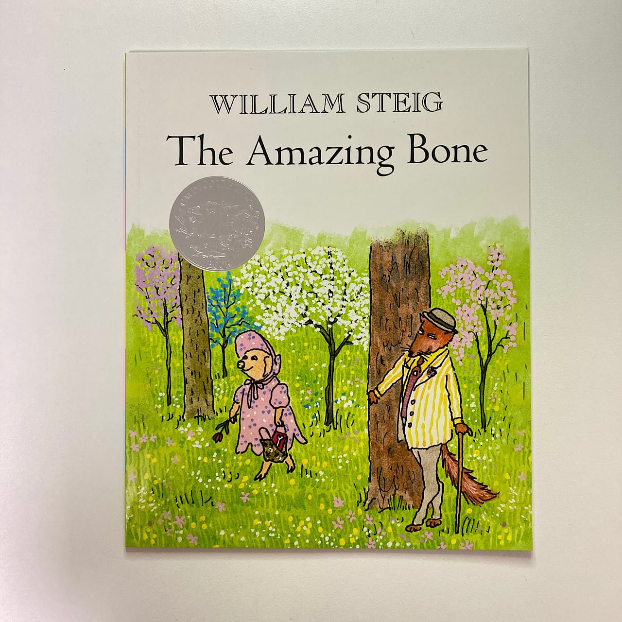 William Steig | 素敵な洋書の絵本屋さん Read Leaf Books