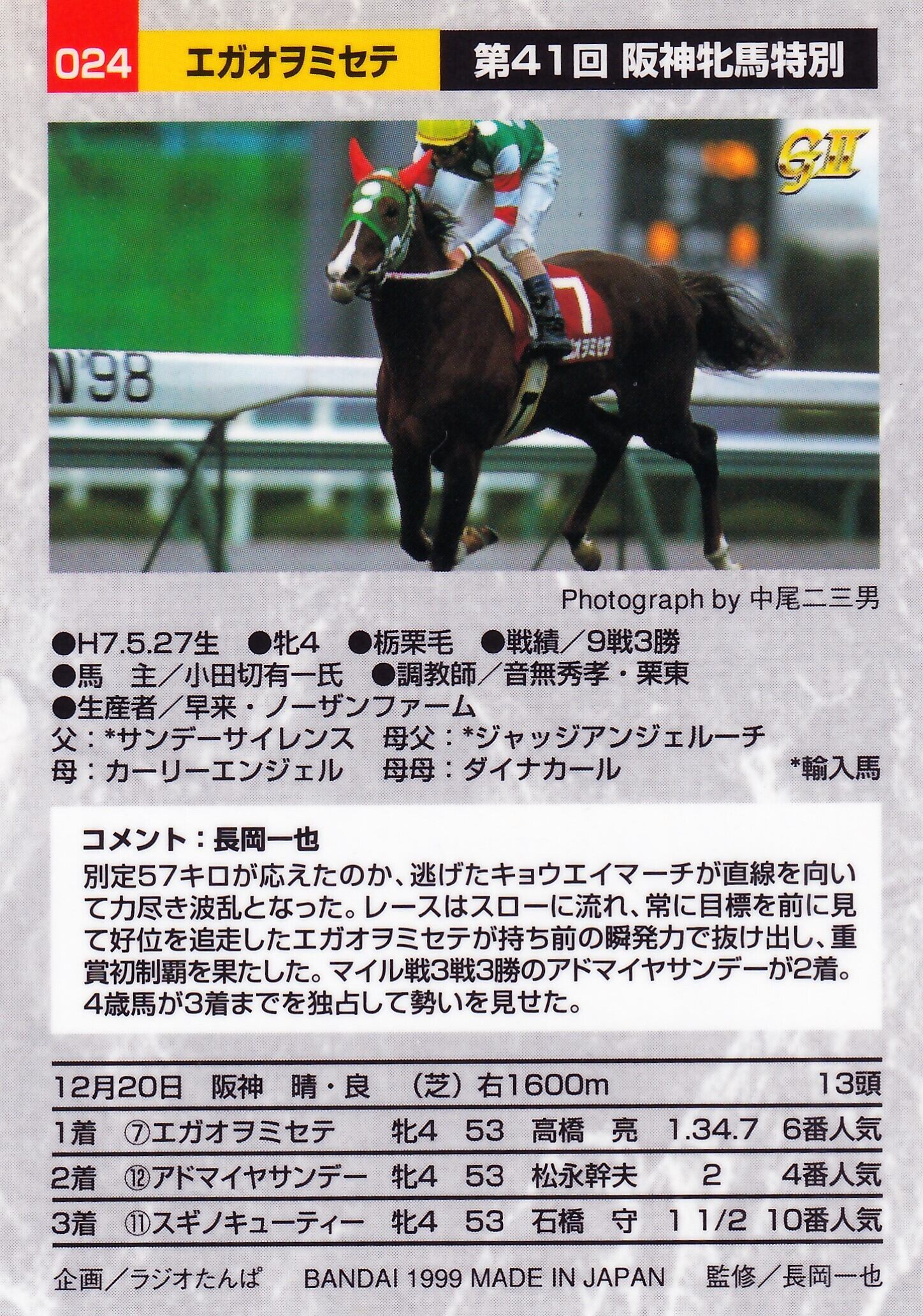 エガオヲミセテ：第41回 阪神牝馬特別「サラブレッドカード 98年下半期