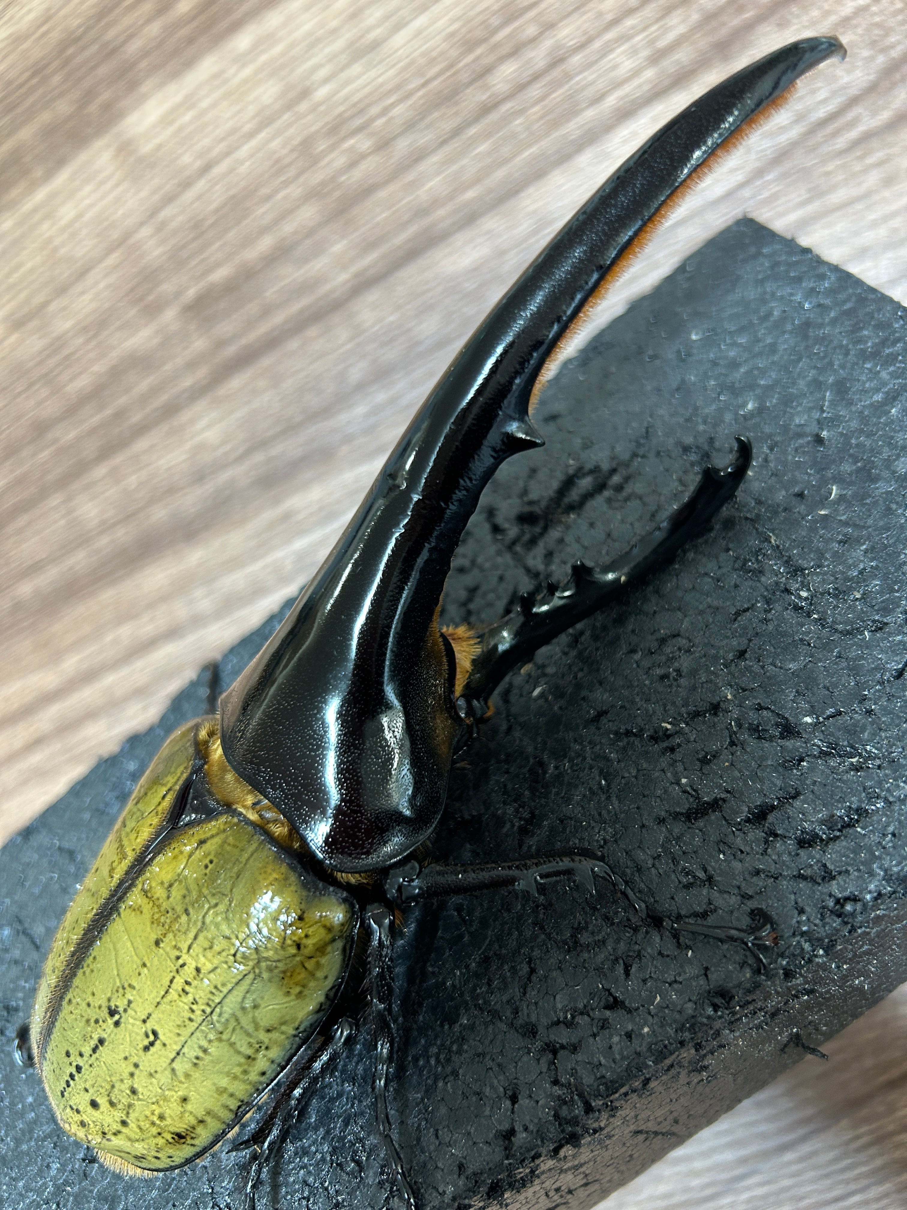 20f3f2fc473f41f05da702c7b8a571