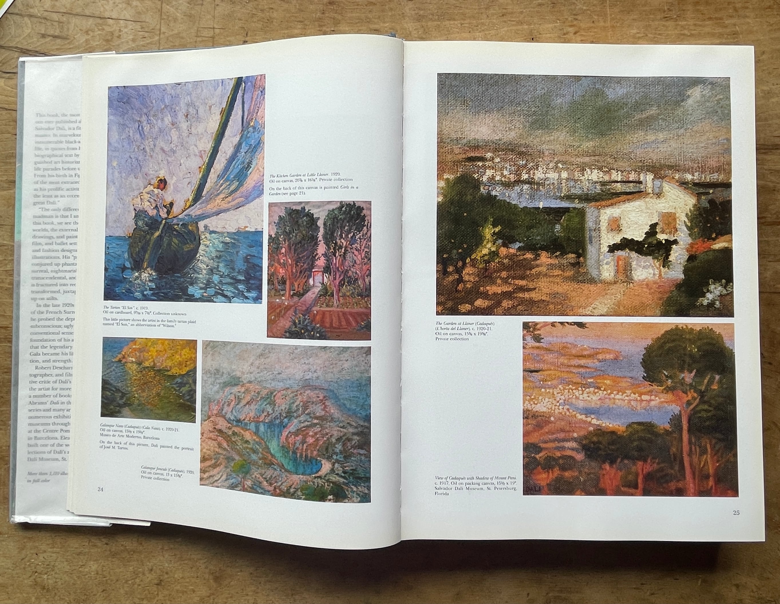 絶版洋古書】サルバドール・ダリ Dali: The Work the Man Harry N