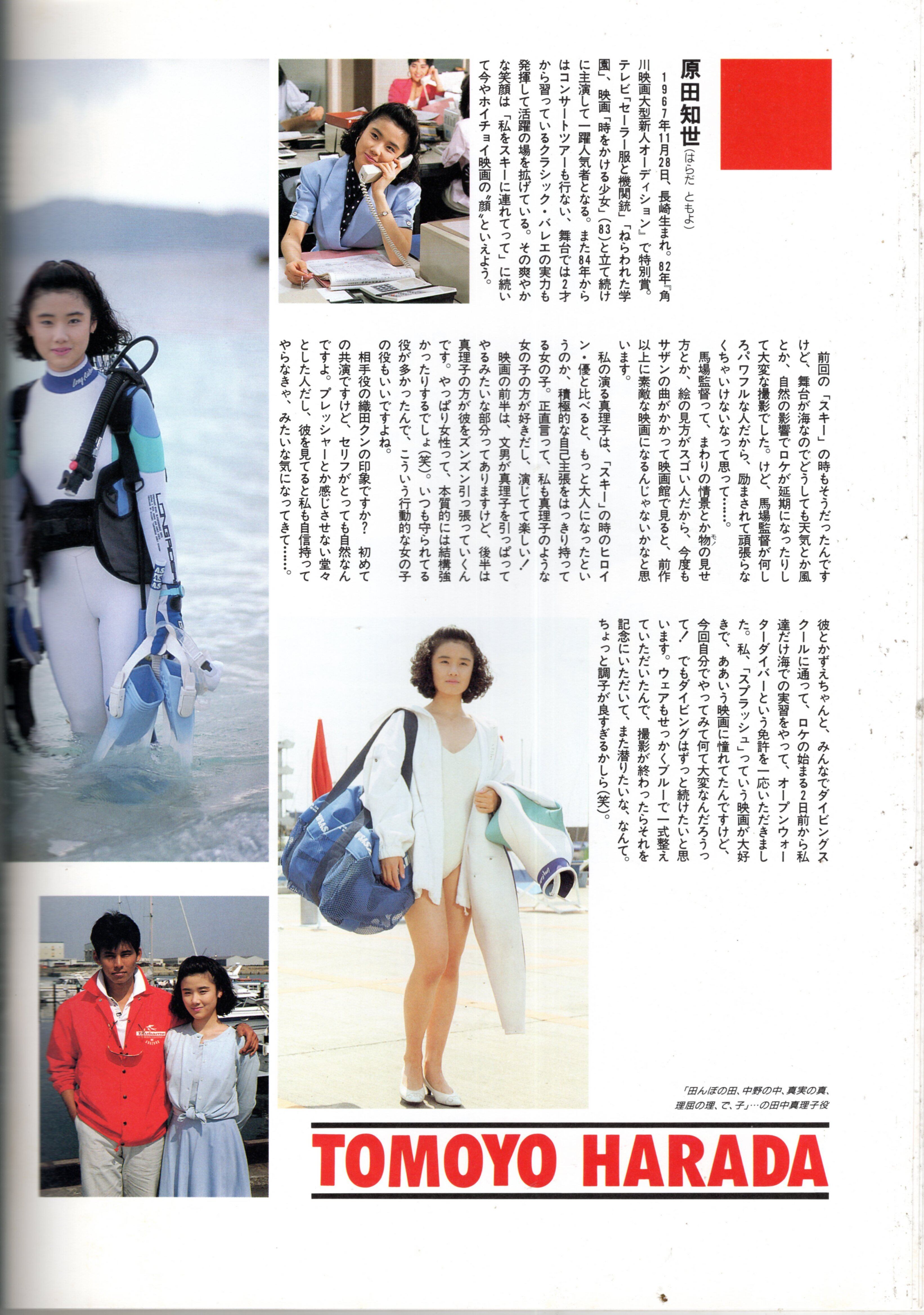 彼女が水着に着替えたら（劇場用プログラム） | 陽向走太80th映画