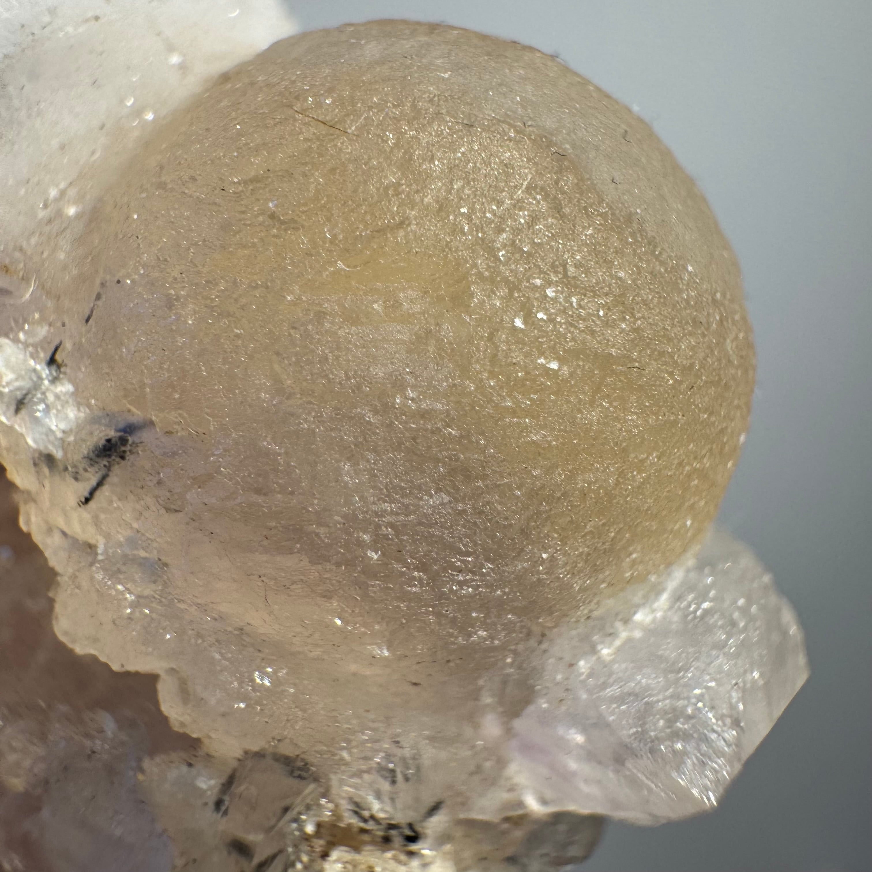 ポンデリングフローライト母岩付き＊ブドウ状蛍石原石＊251003＊天然石