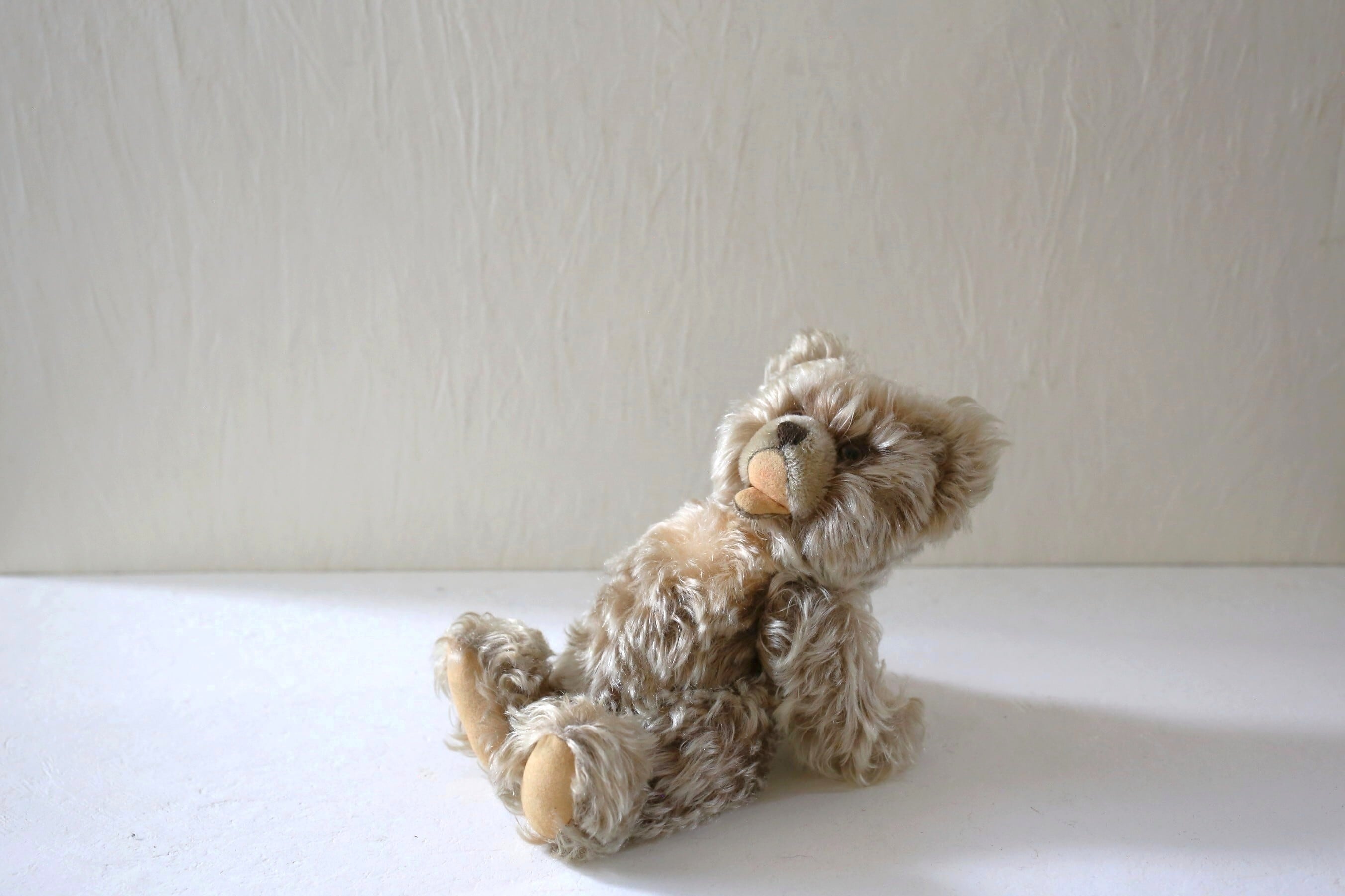 シュタイフ steiff | EMUPARIS